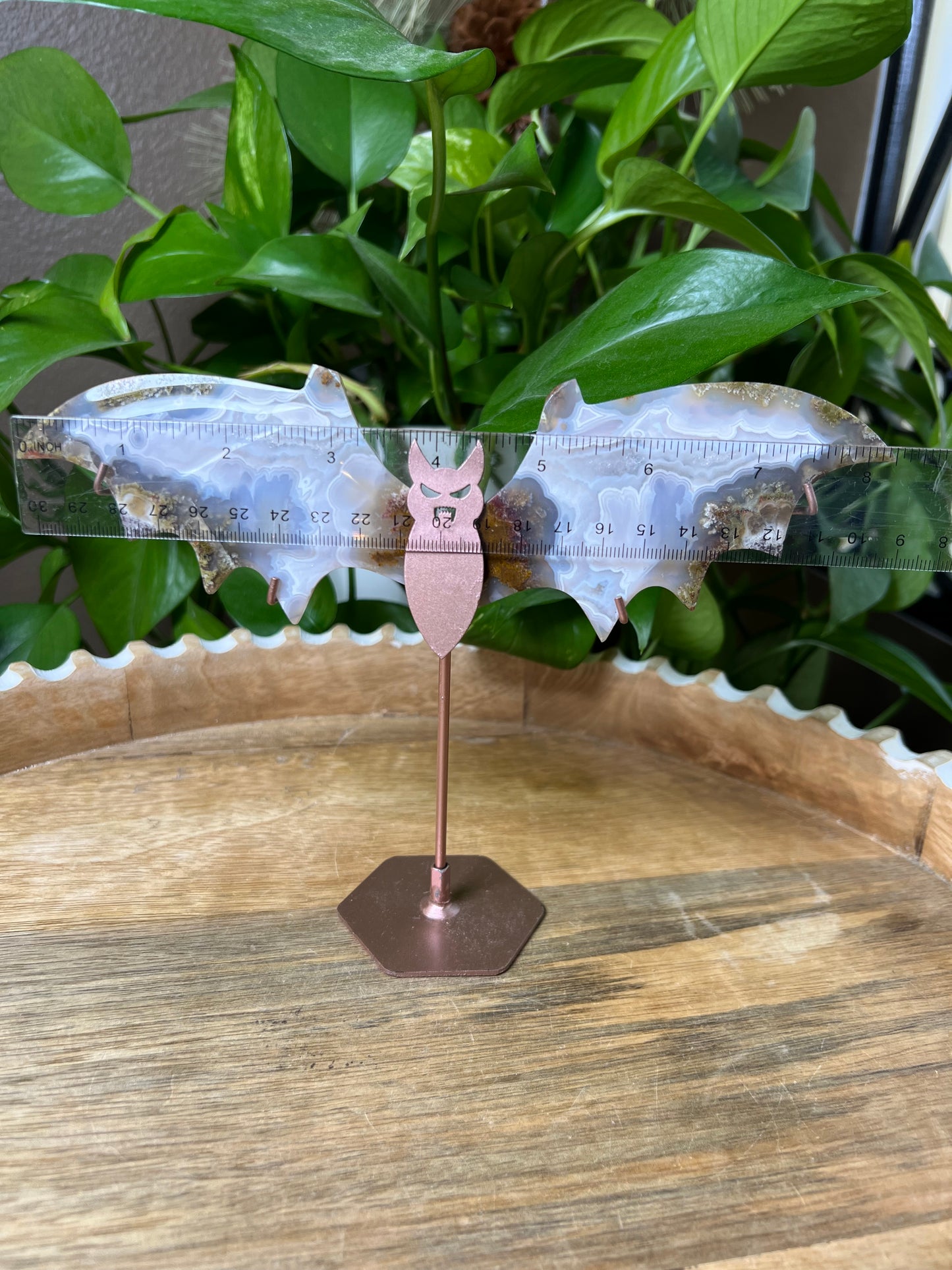 Scenic Moss Agate Bat Wings: BL