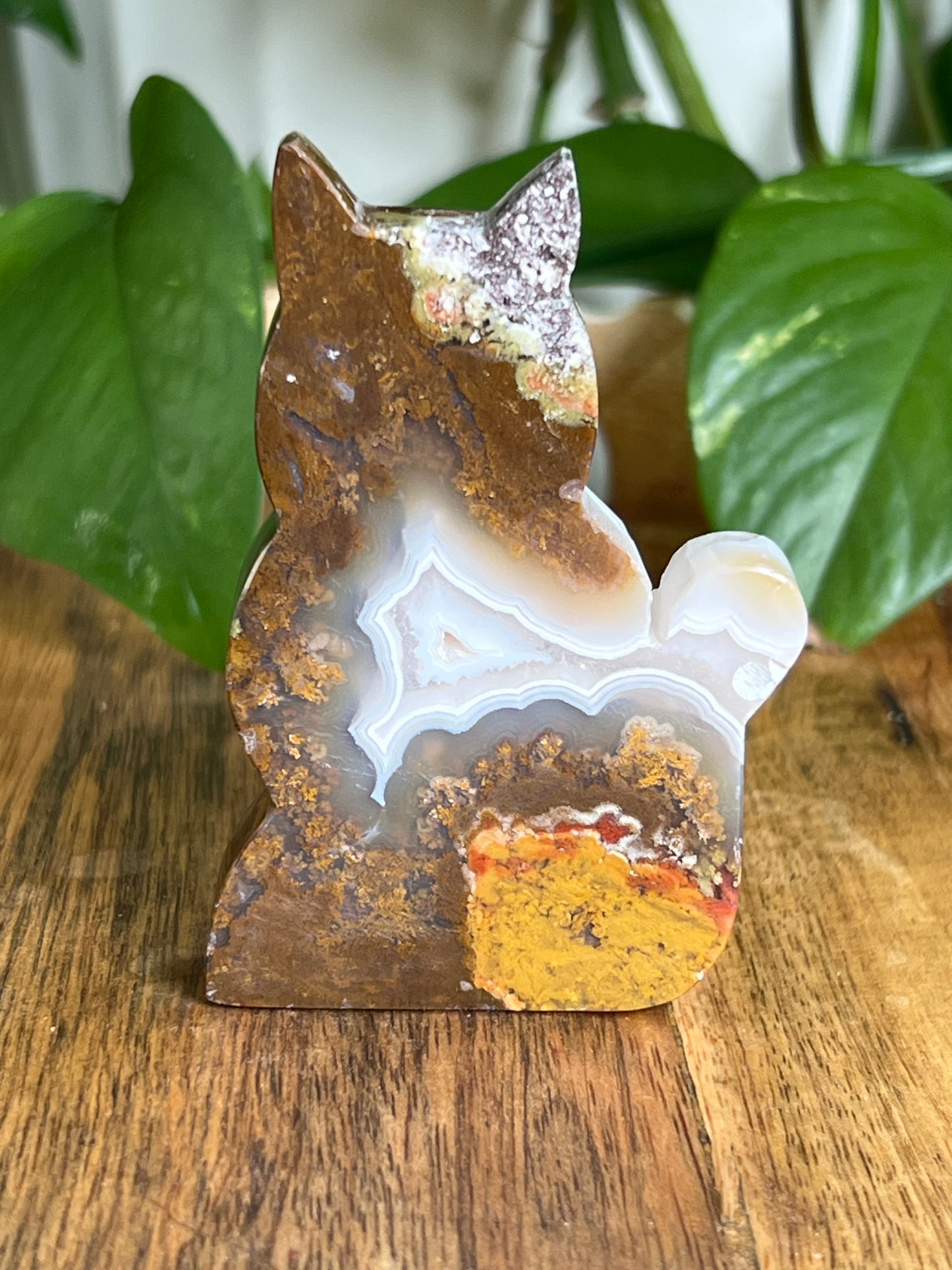 Scenic Moss Agate Cat HZ