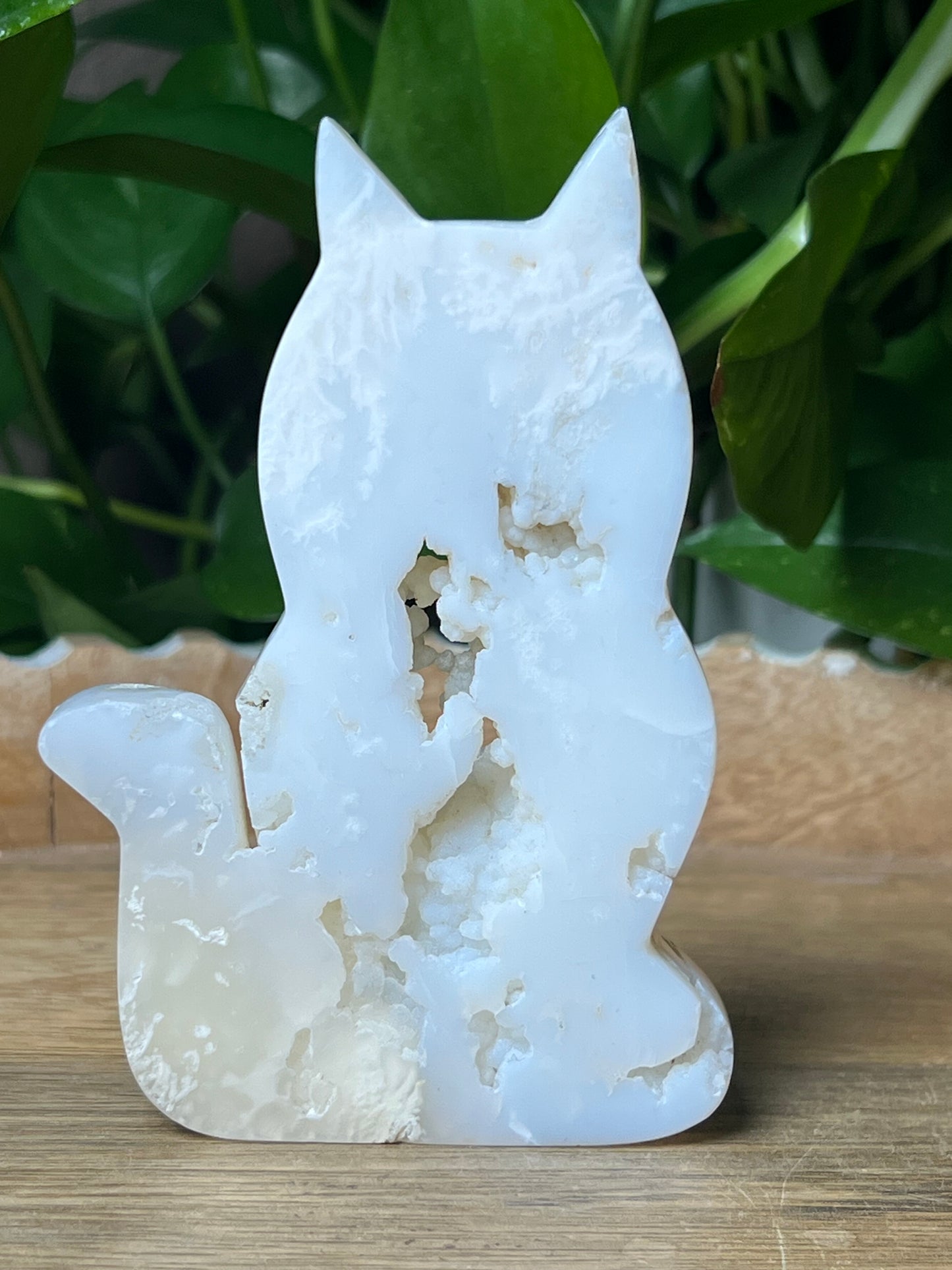 White Plume Agate Cat