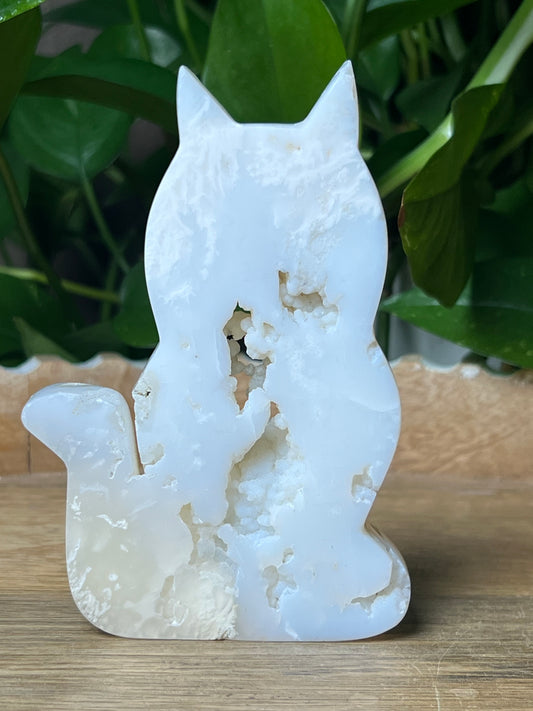 White Plume Agate Cat