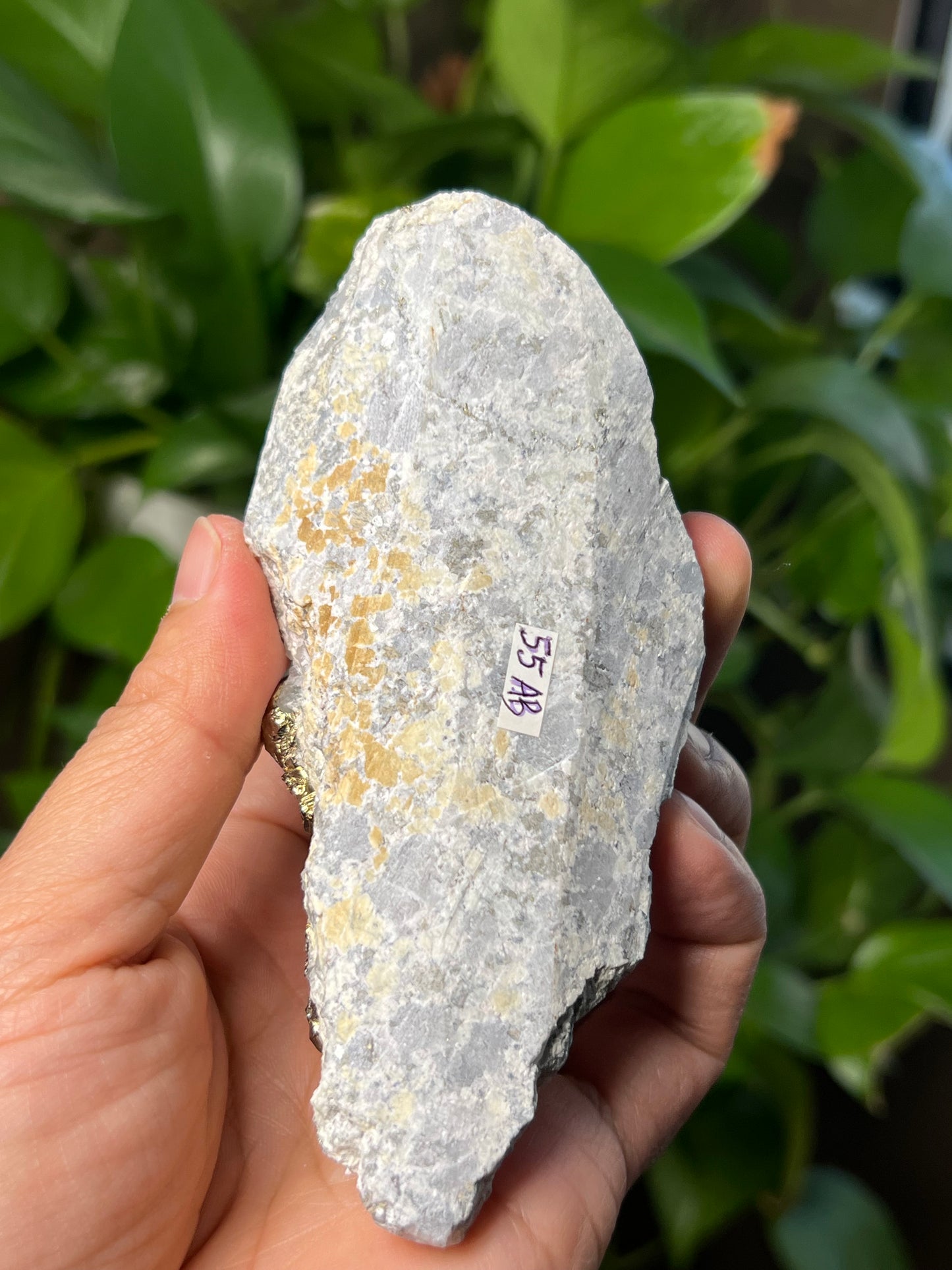 Rainbow Pyrite Quartz