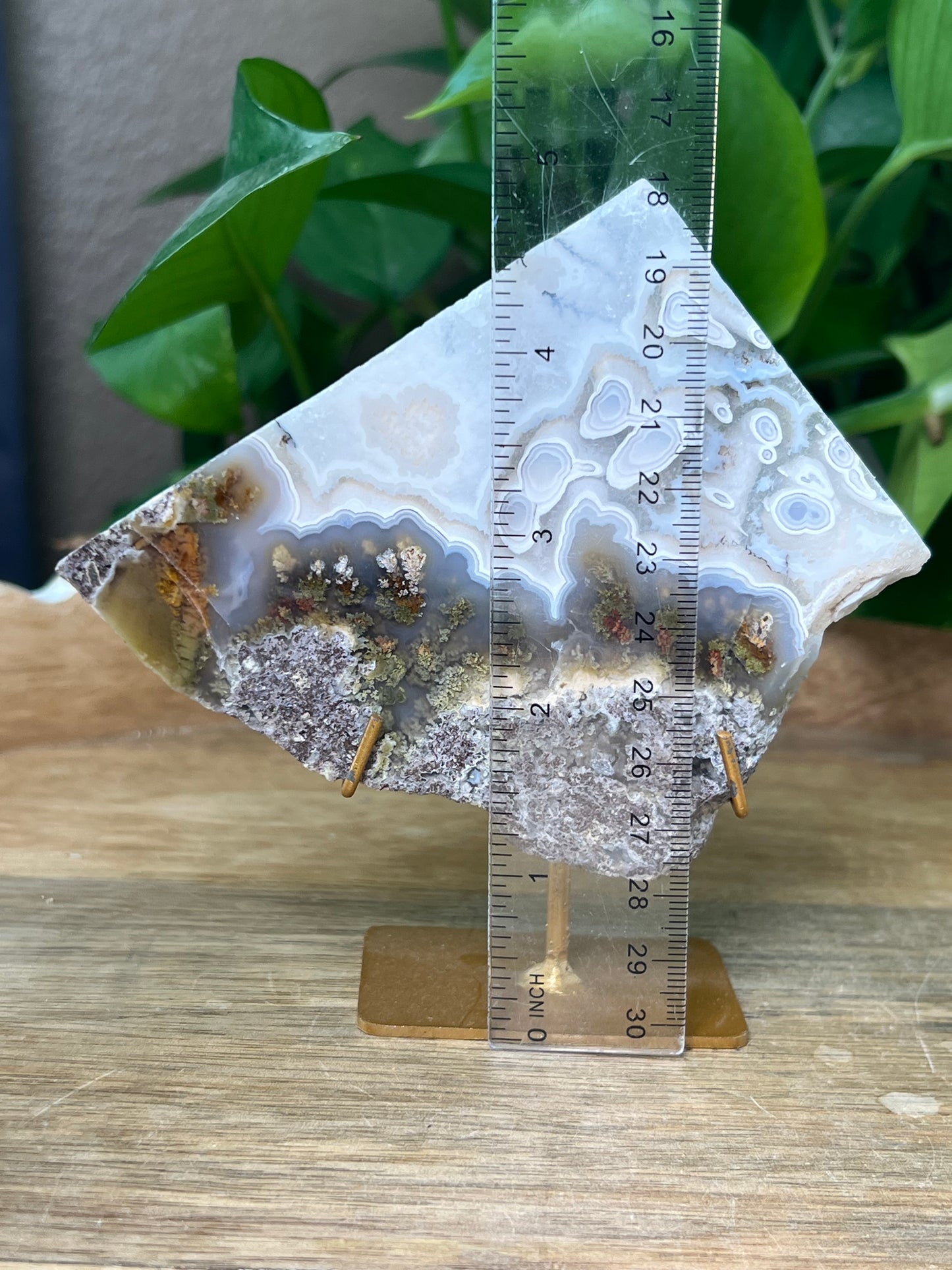 Scenic Moss Agate Slab