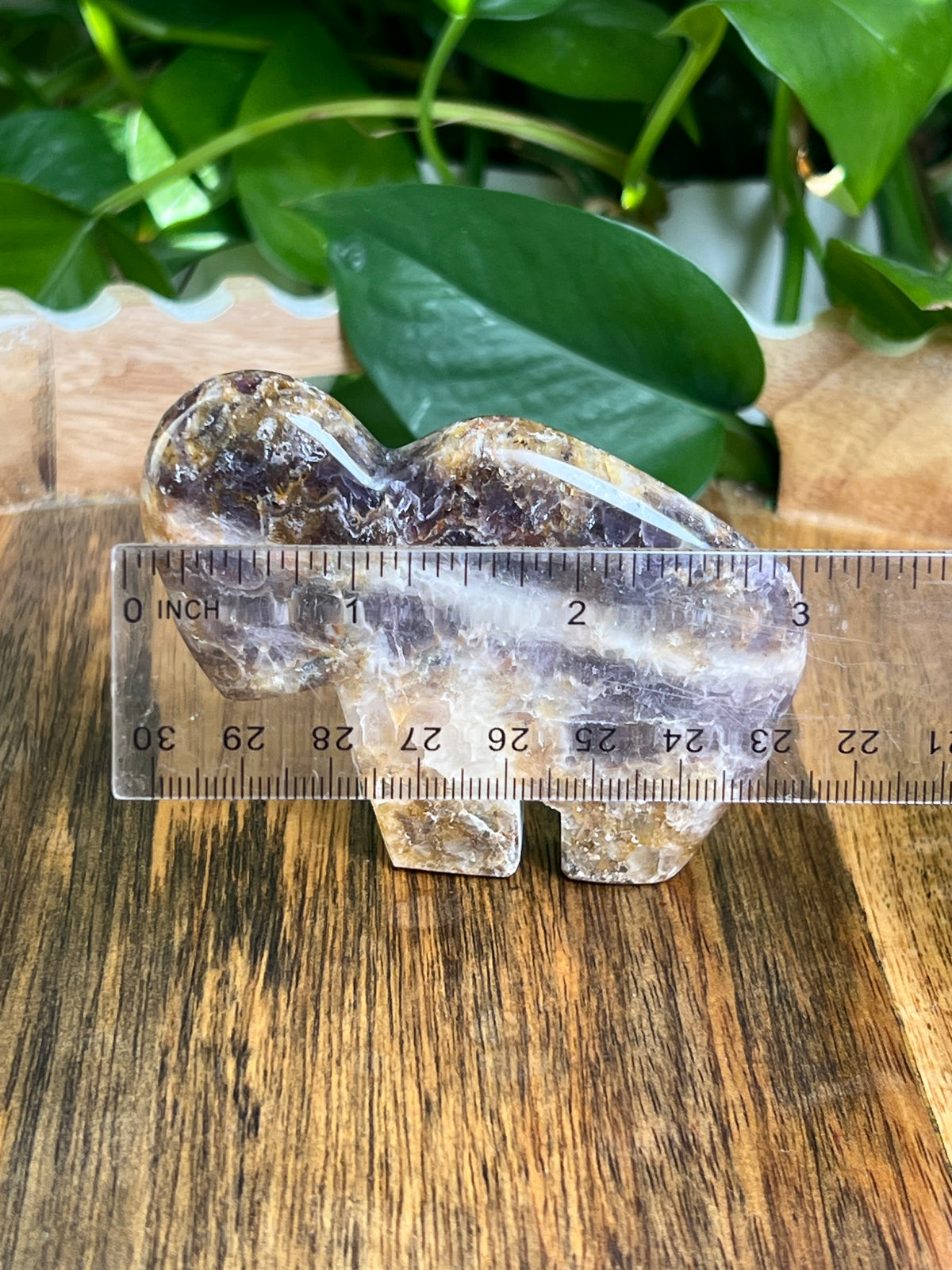 Indonesian Amethyst Buffalo: RL