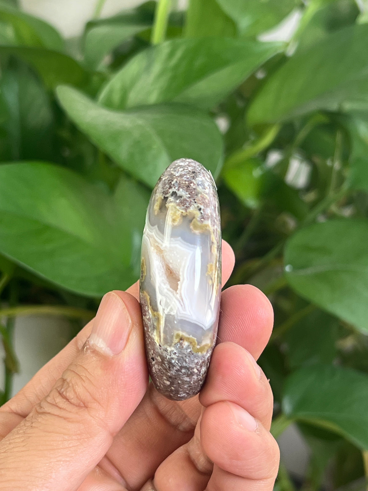 Scenic Moss Agate Palmstone: BB