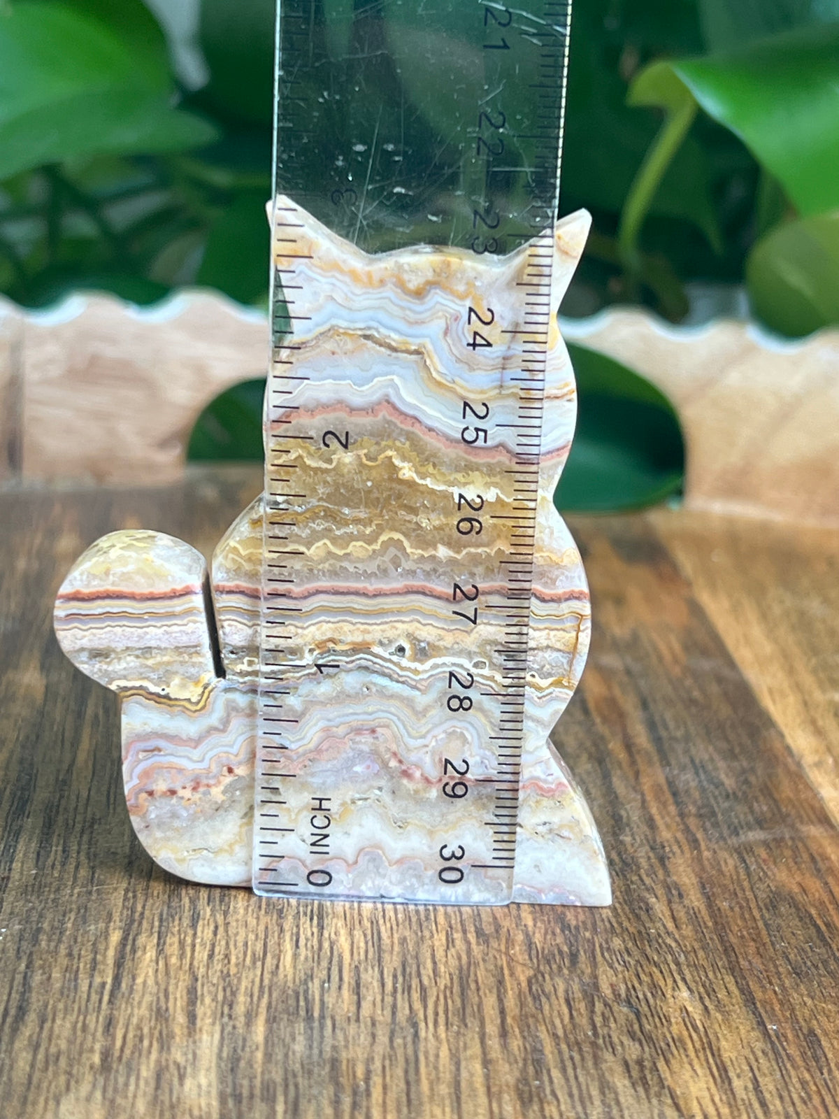 Crazy Lace Agate Cat: QA