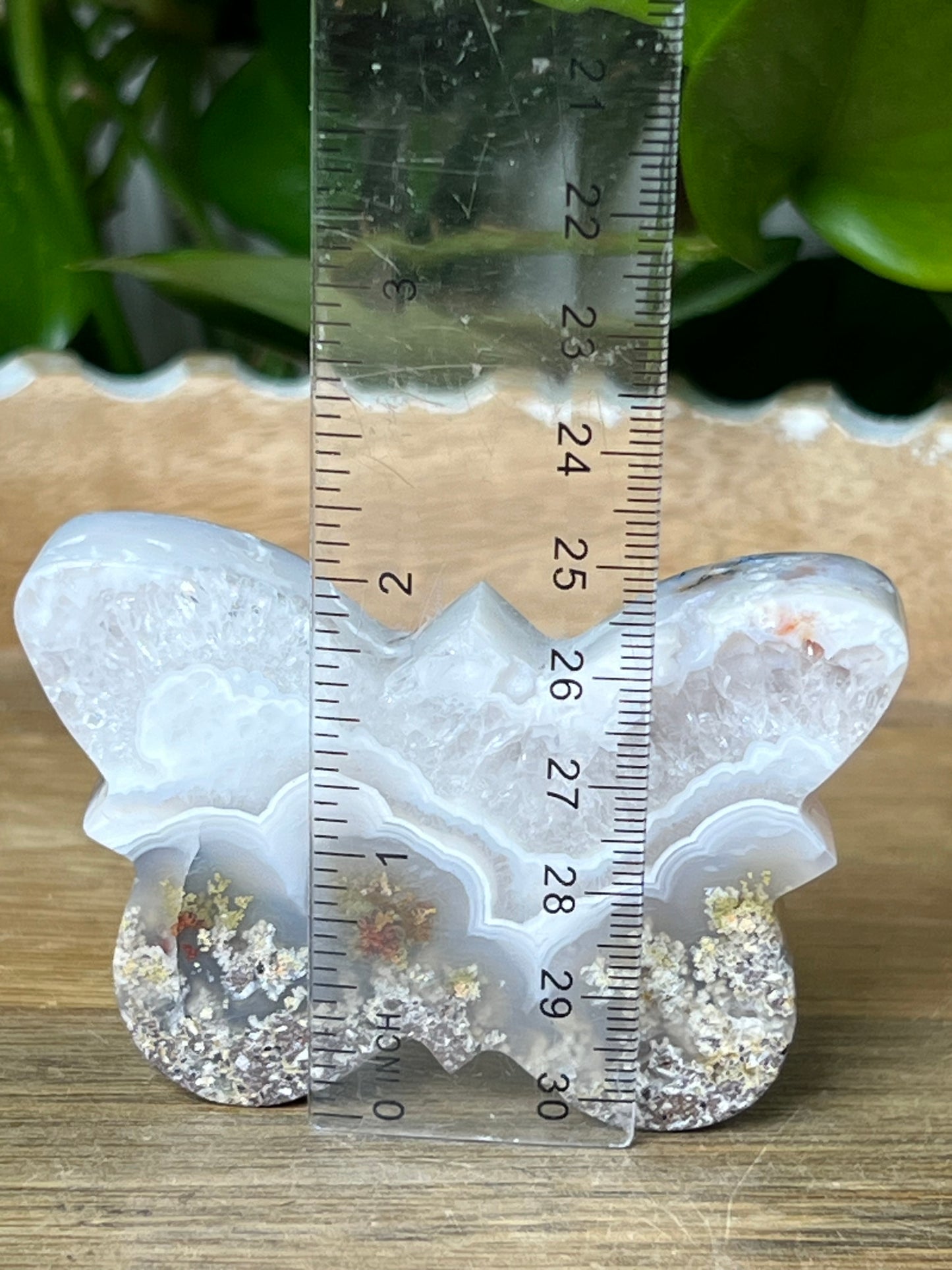 Scenic Moss Agate Butterfly