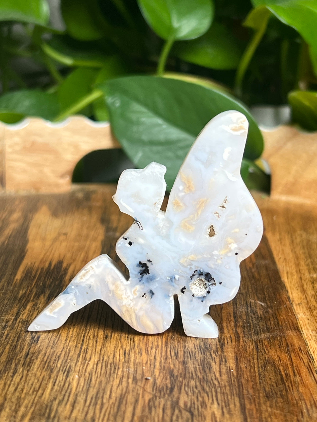 Dendritic Tiger Agate Fairy: AA