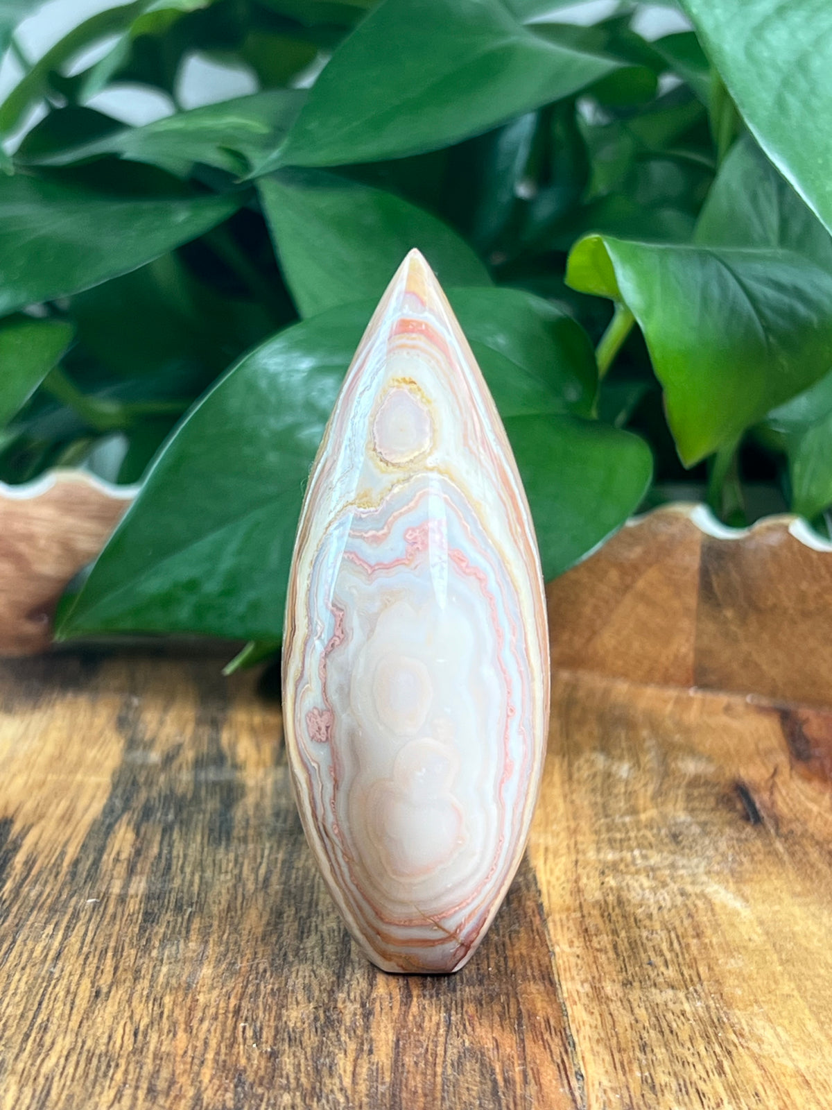 Crazy Lace Agate Flame: BB