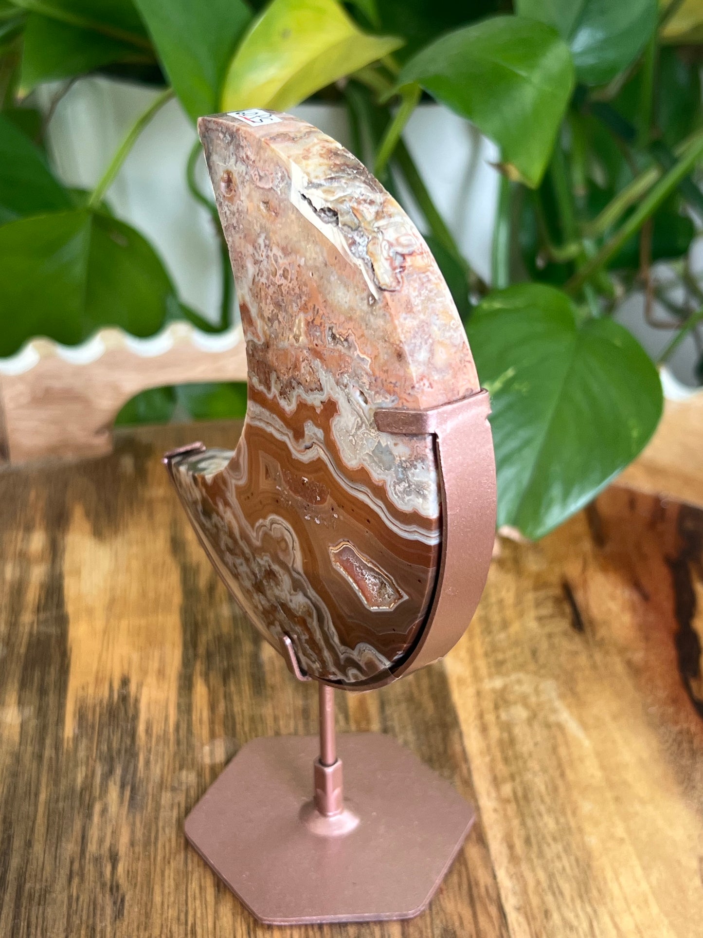 Crazy Lace Agate Moon PS