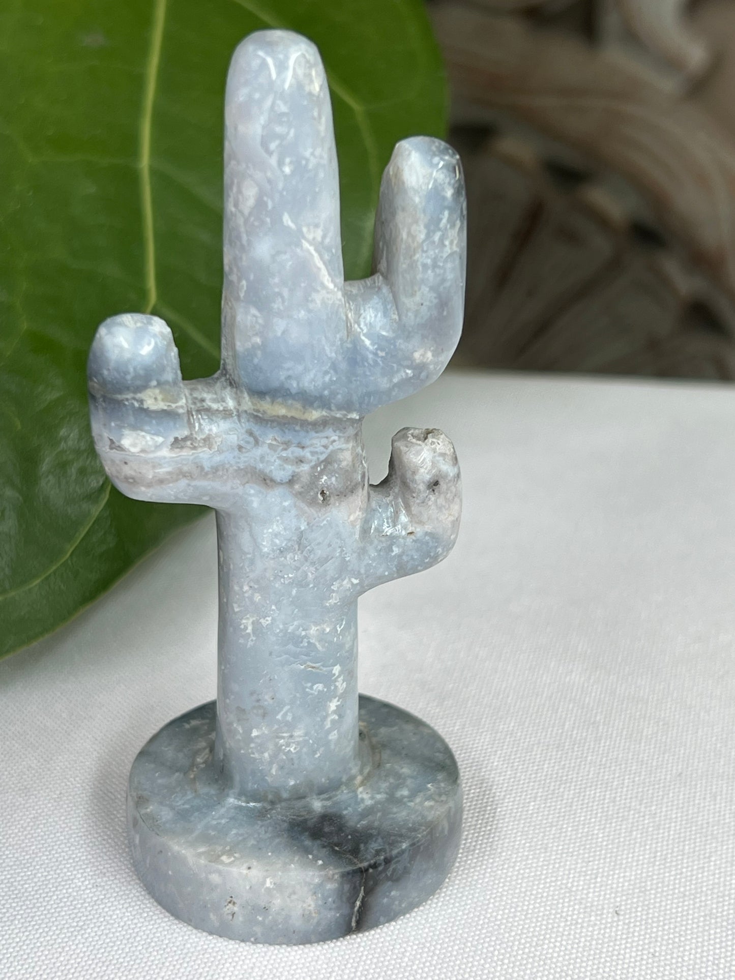 Blue Plume Agate Cactus