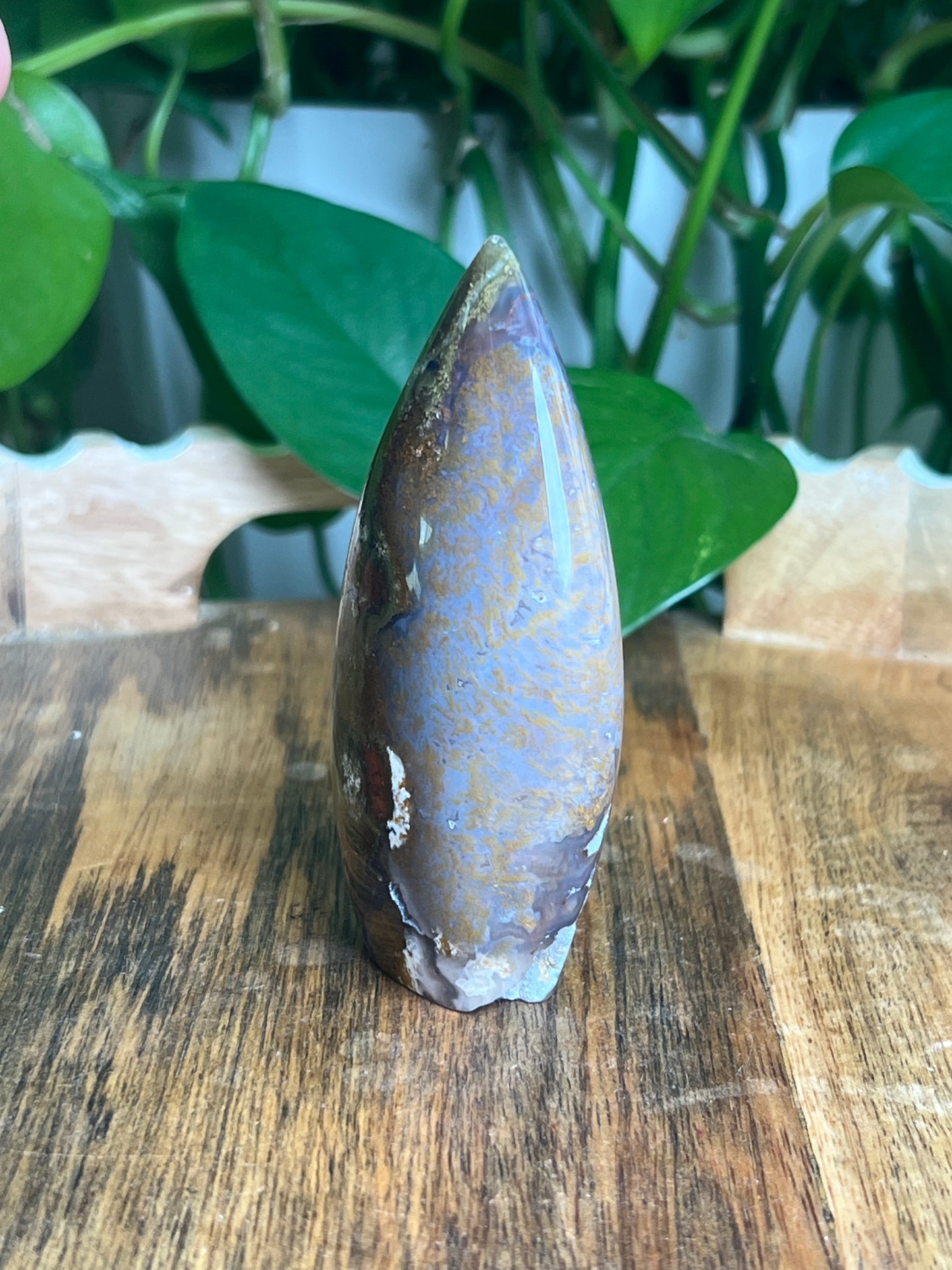 Scenic Moss Agate Flame: XC