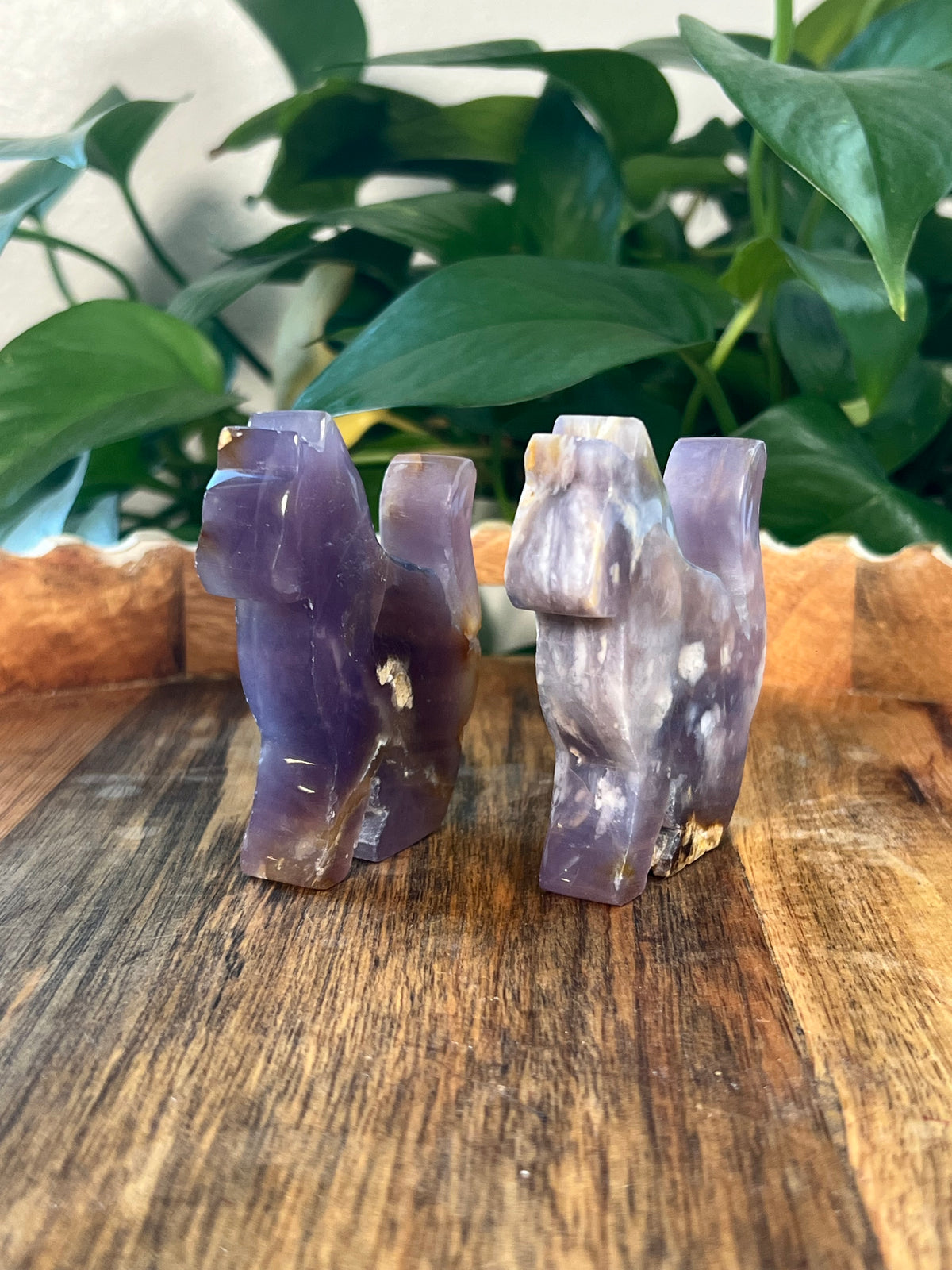 Purple Chalcedony Cats