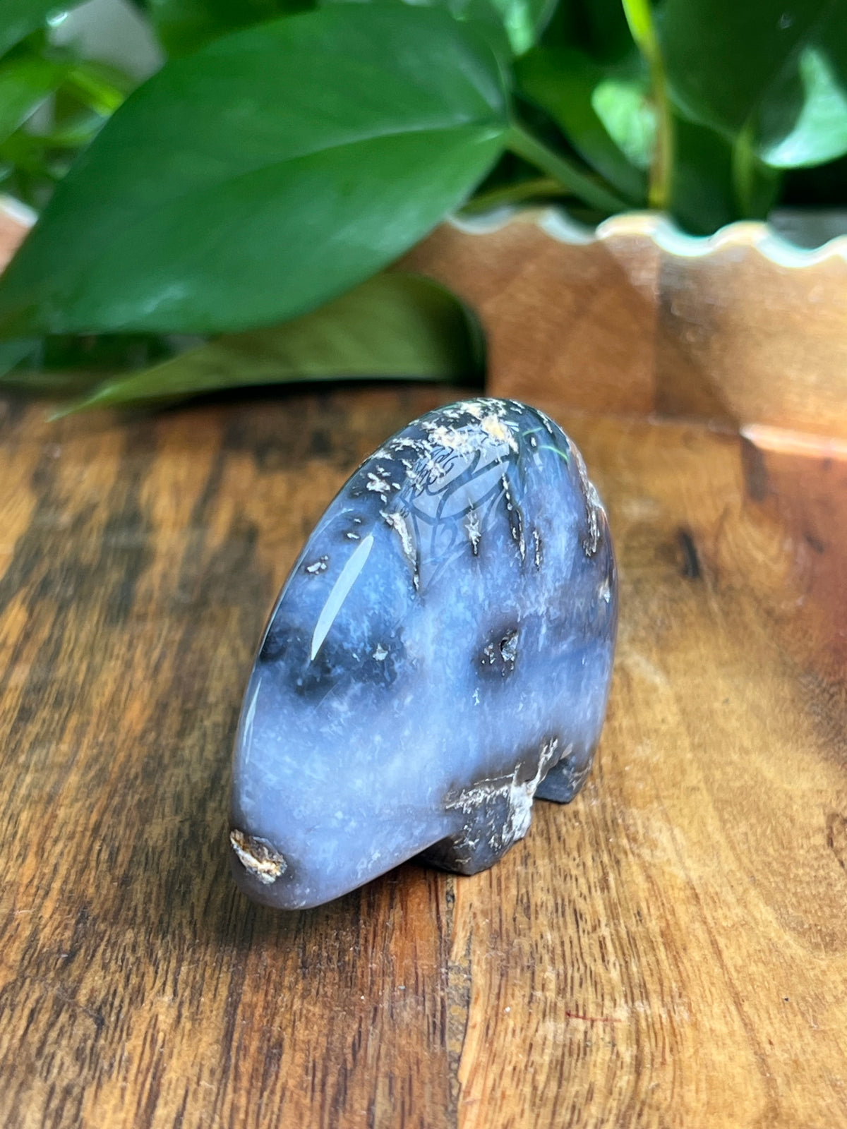 Blue Plume Agate Bear: DC