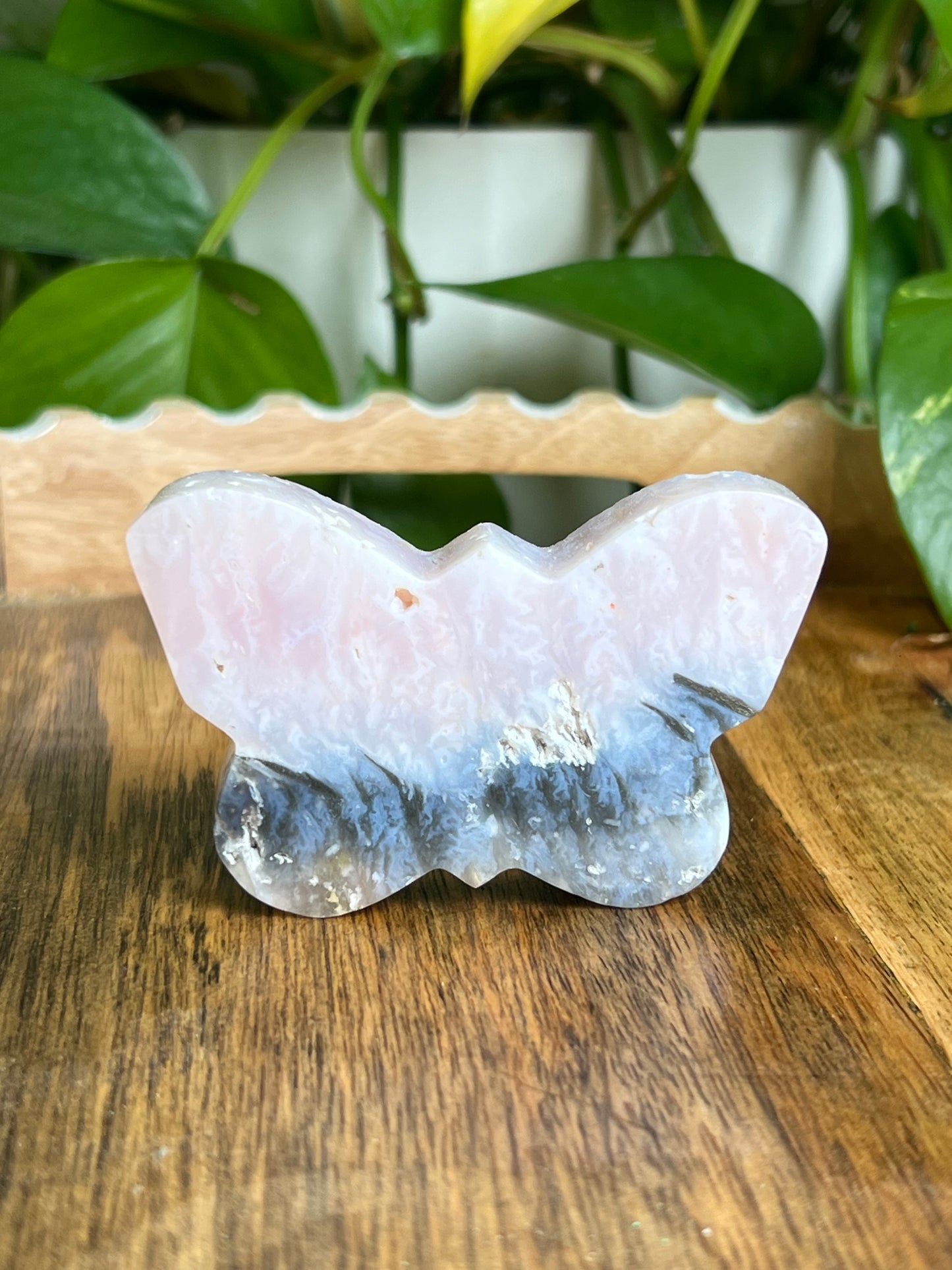 Rainbow Plume Agate Butterfly RK