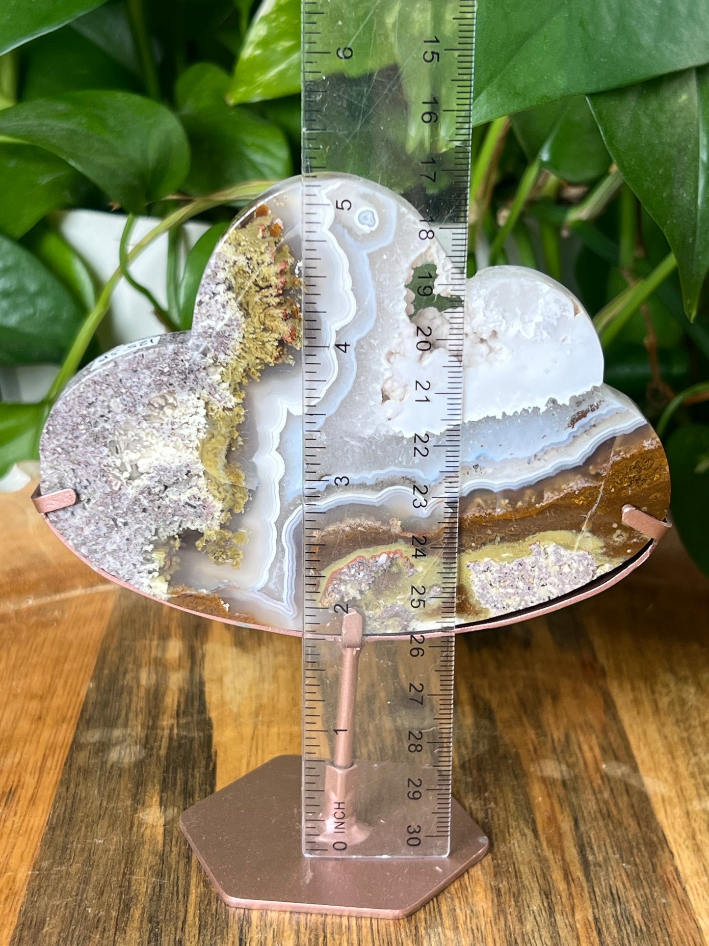 Scenic Moss Agate Cloud