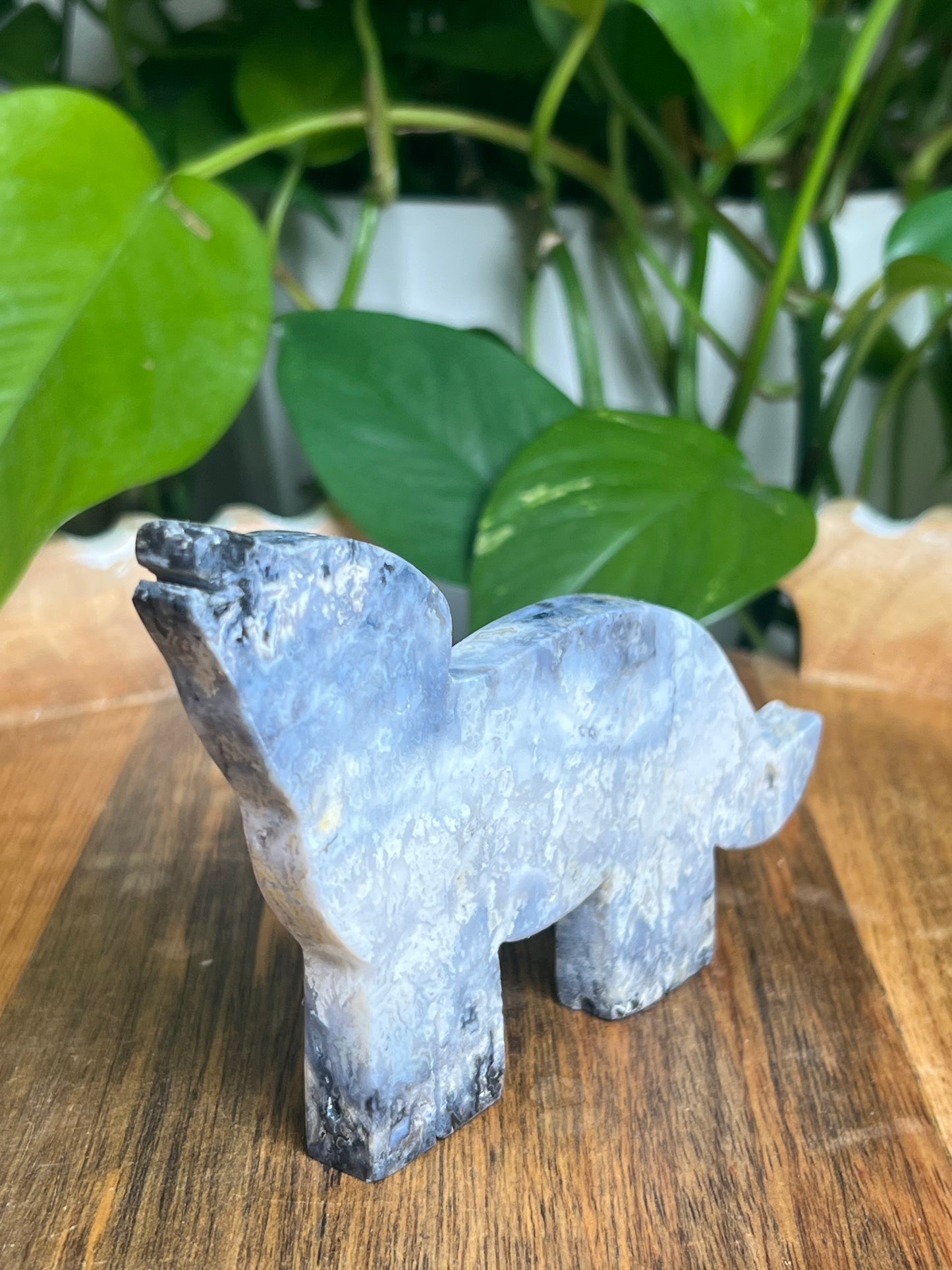 Blue Plume Agate Wolf: Q