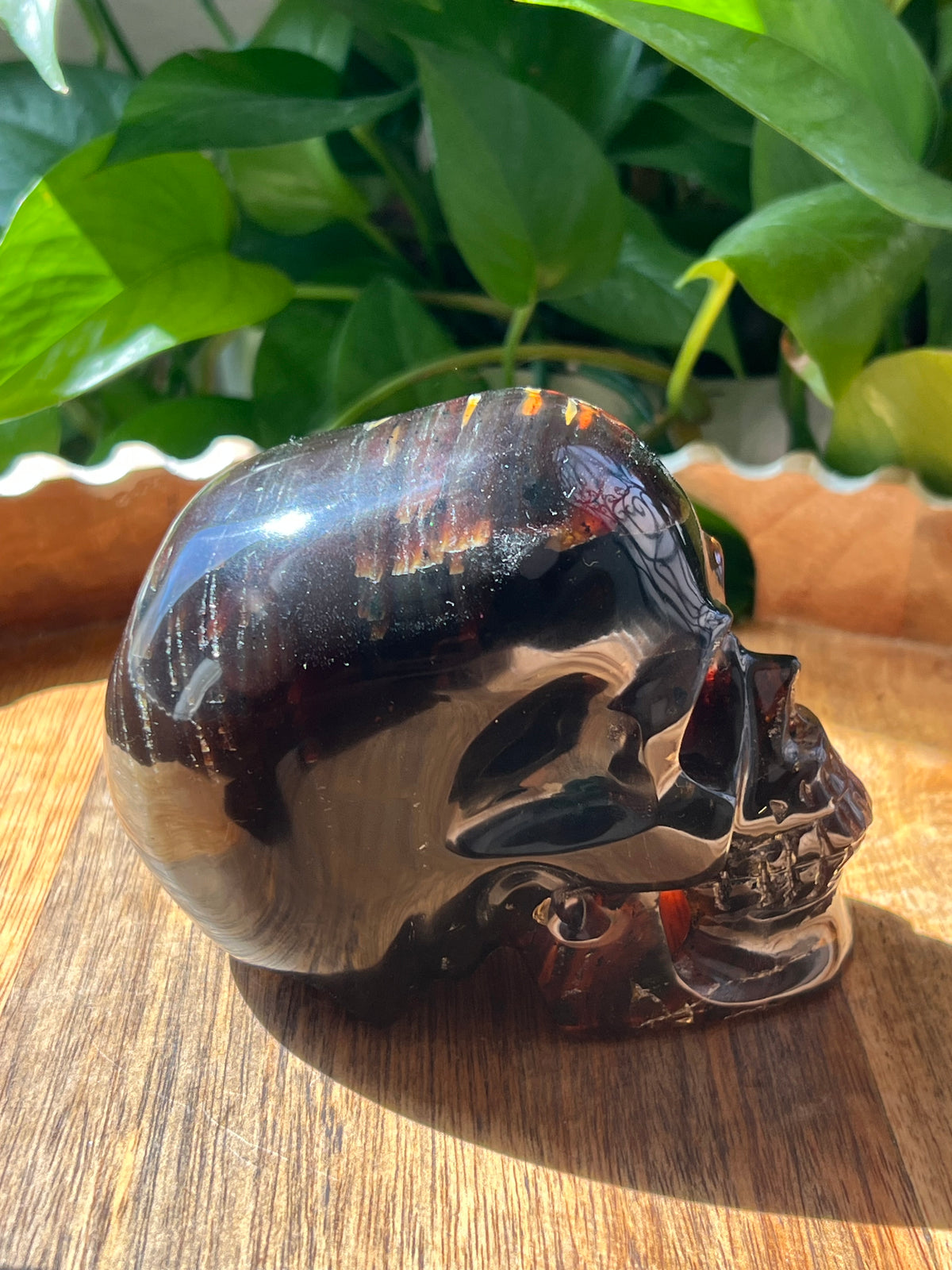 Blue Amber Skull: NX