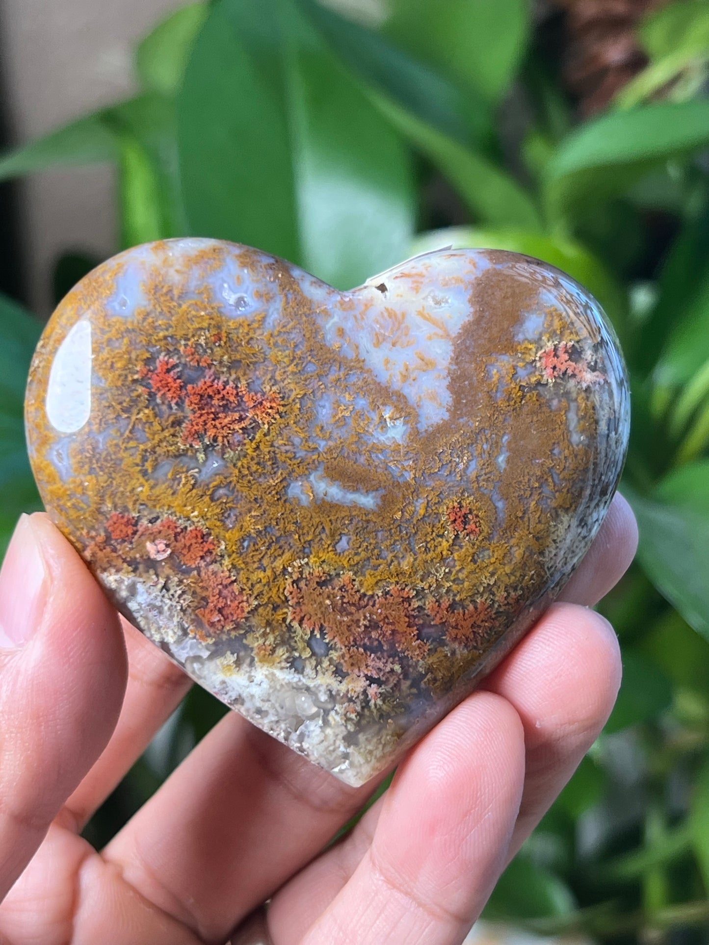 Scenic Moss Agate Heart