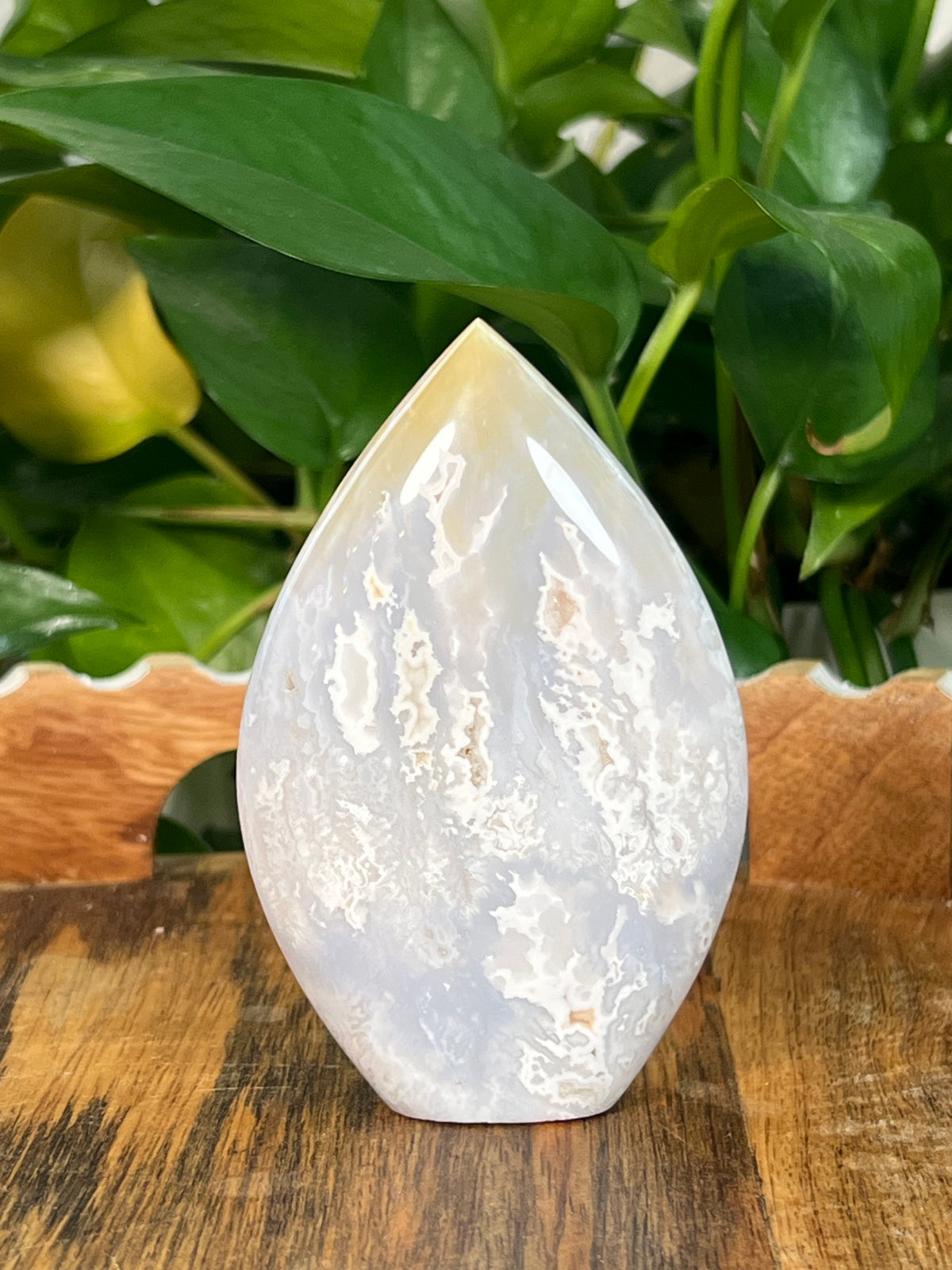 Winter Plume Agate Flames