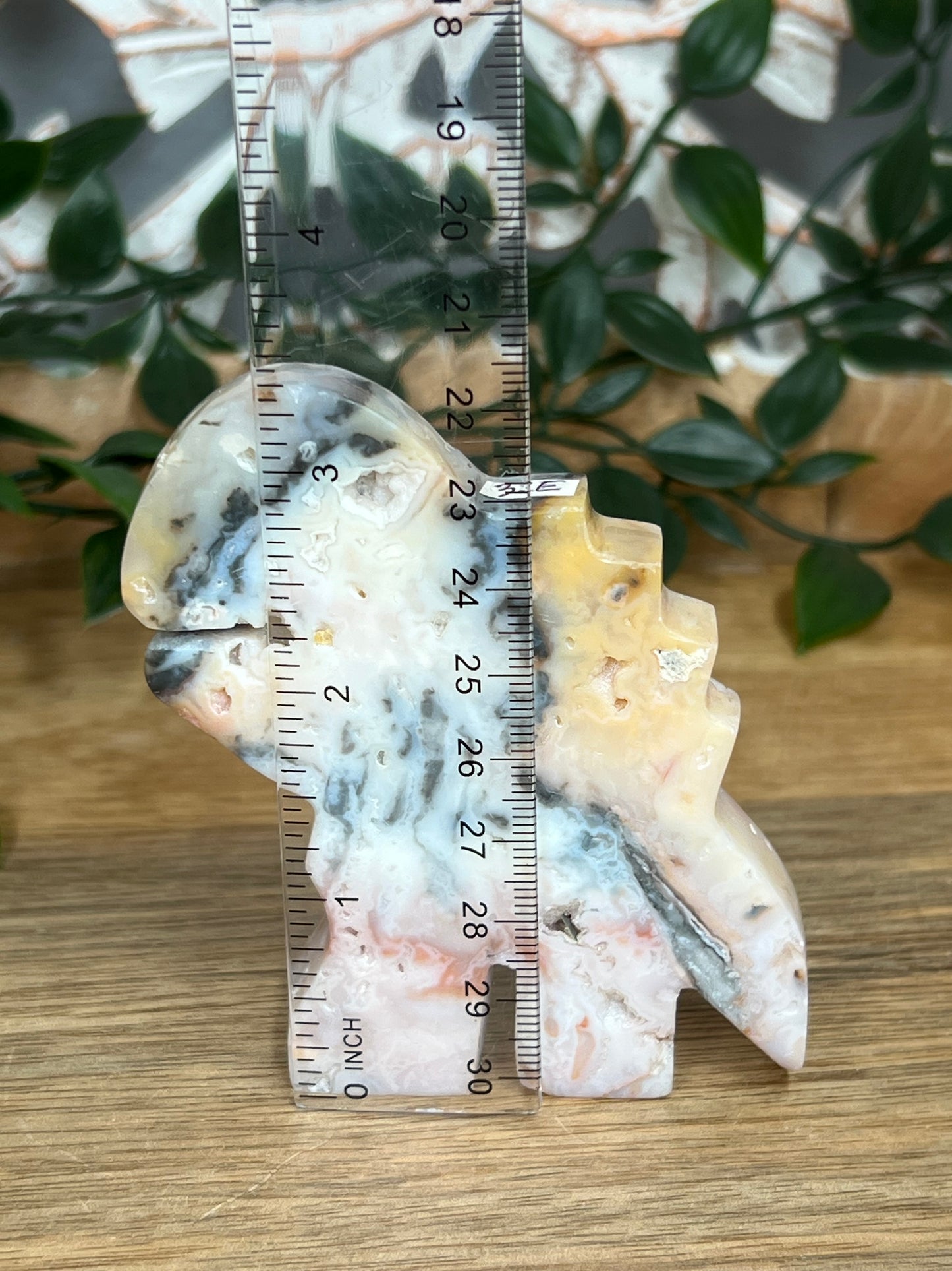 Rainbow Plume Agate Dinosaurus