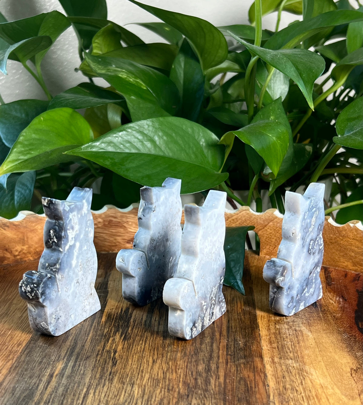 Blue Plume Agate Cats