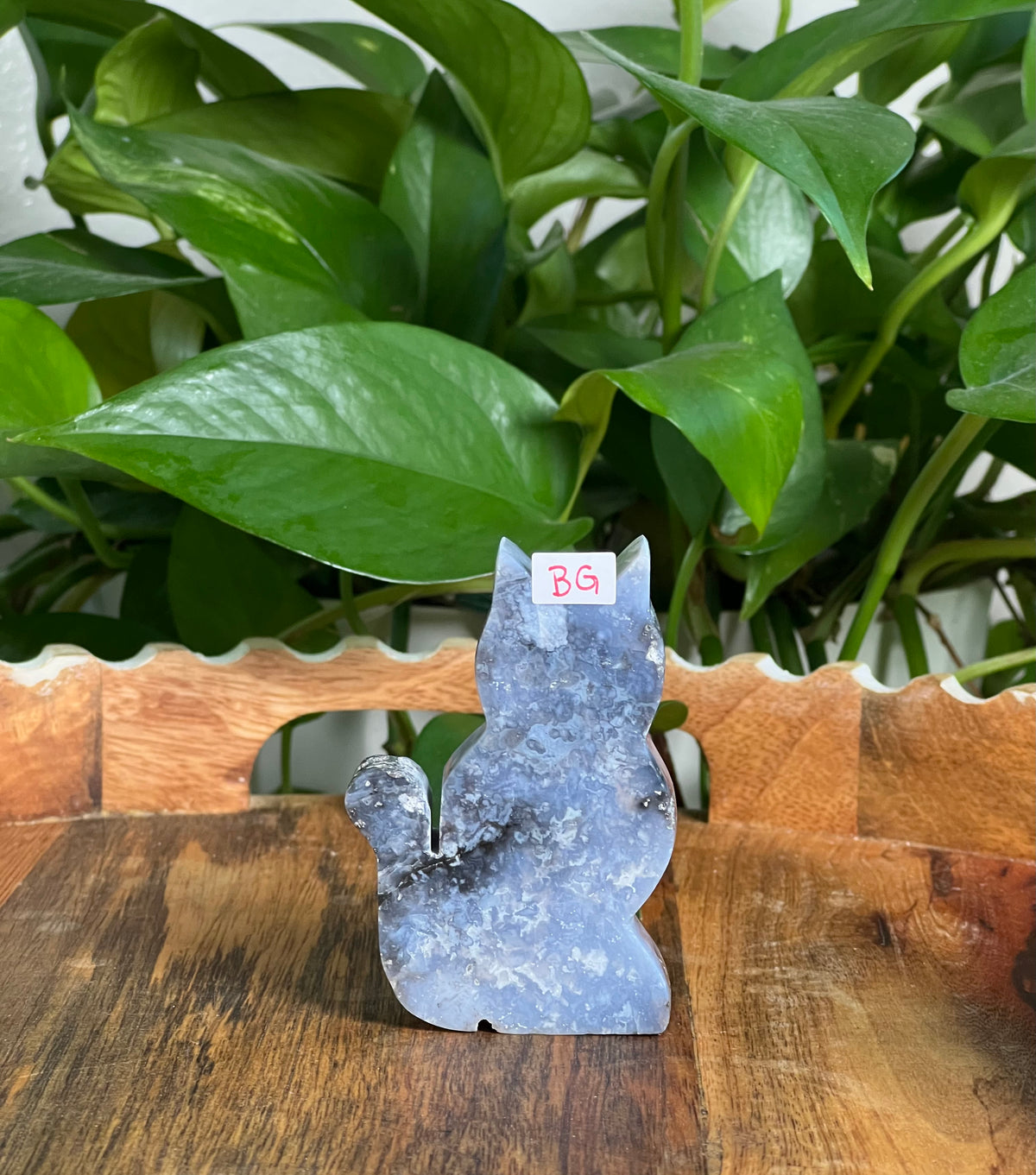 Blue Plume Agate Cats