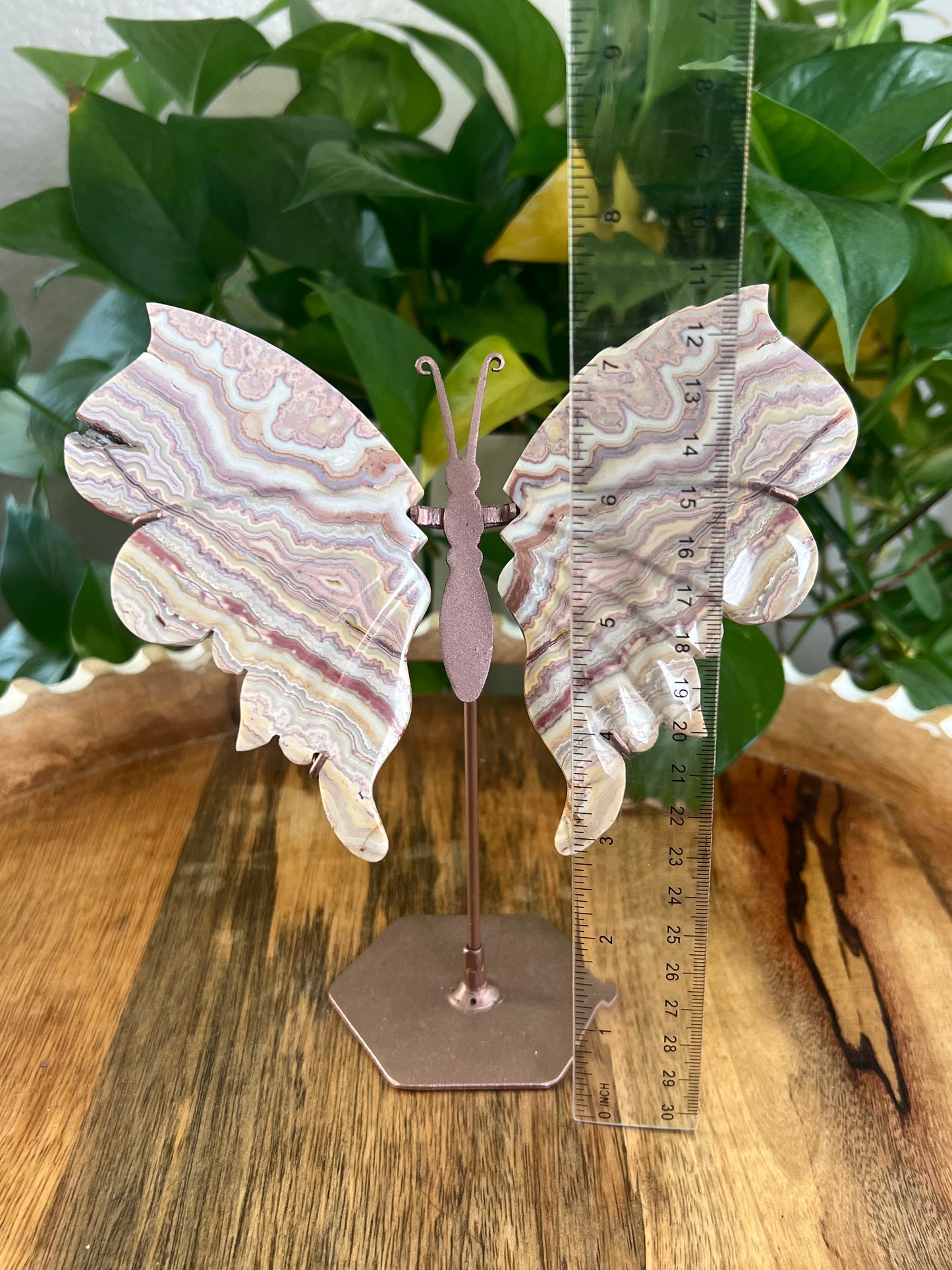 Crazy Lace Agate Wings BA