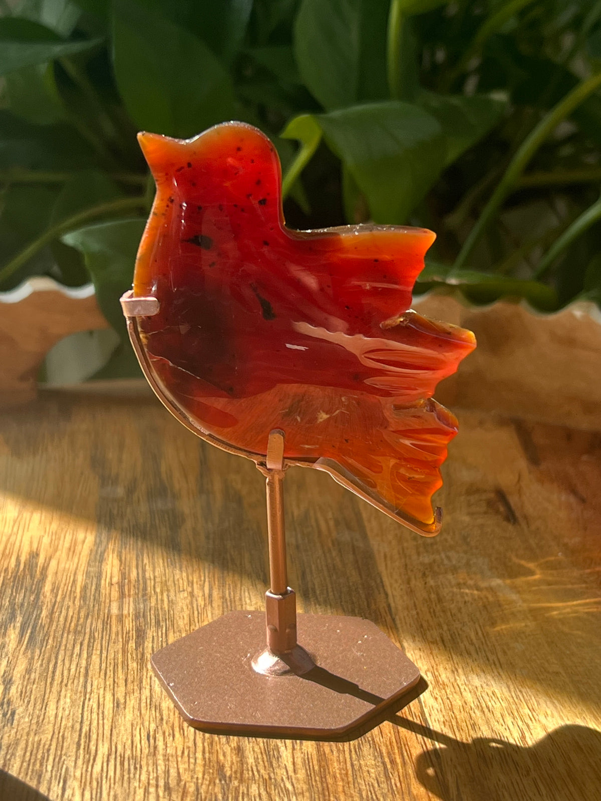 Blue Amber Bird: AC