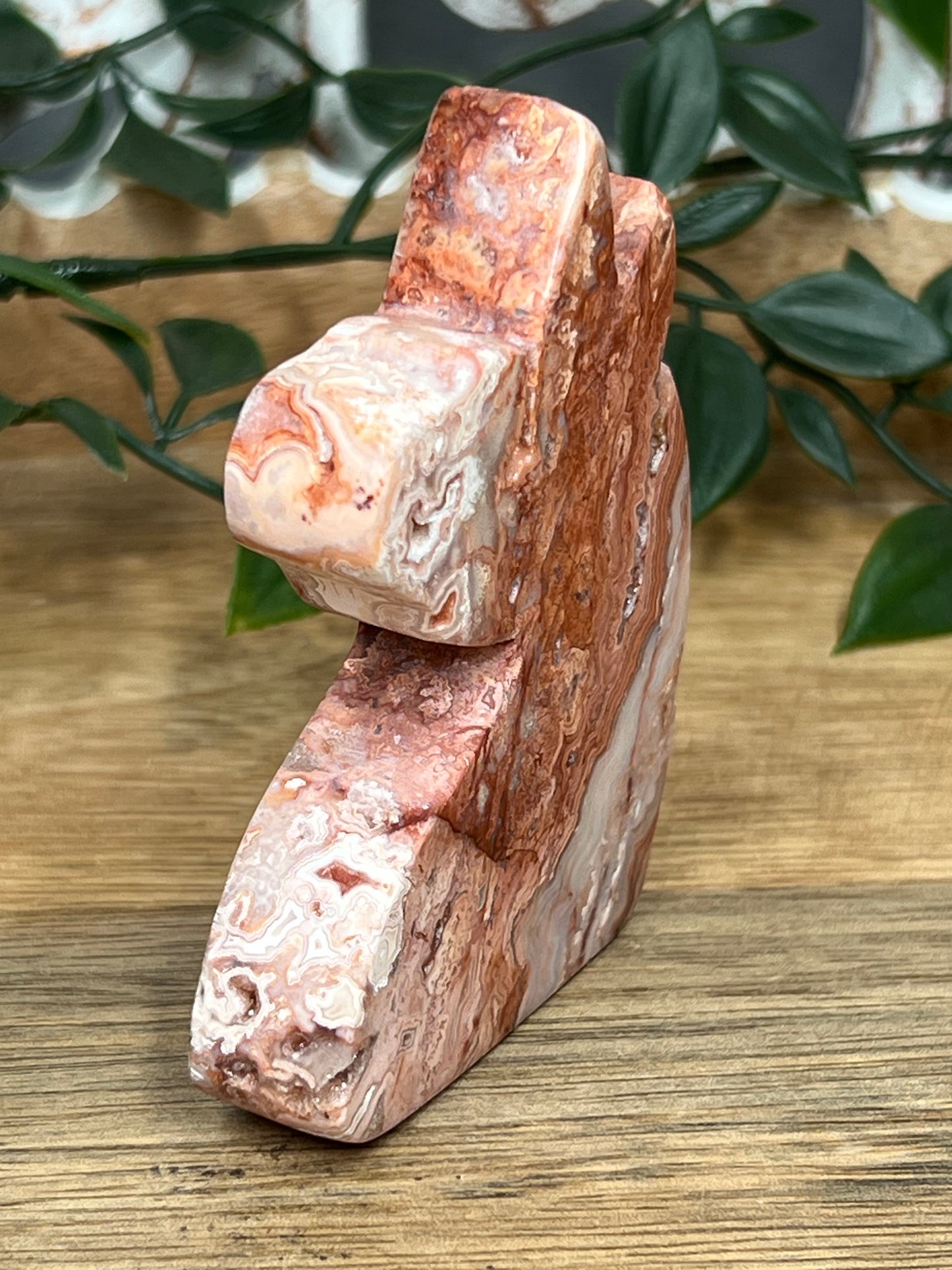 Crazy Lace Agate Unicorn