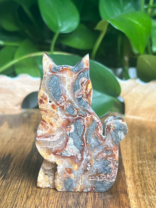 Marcasite Cat: DC