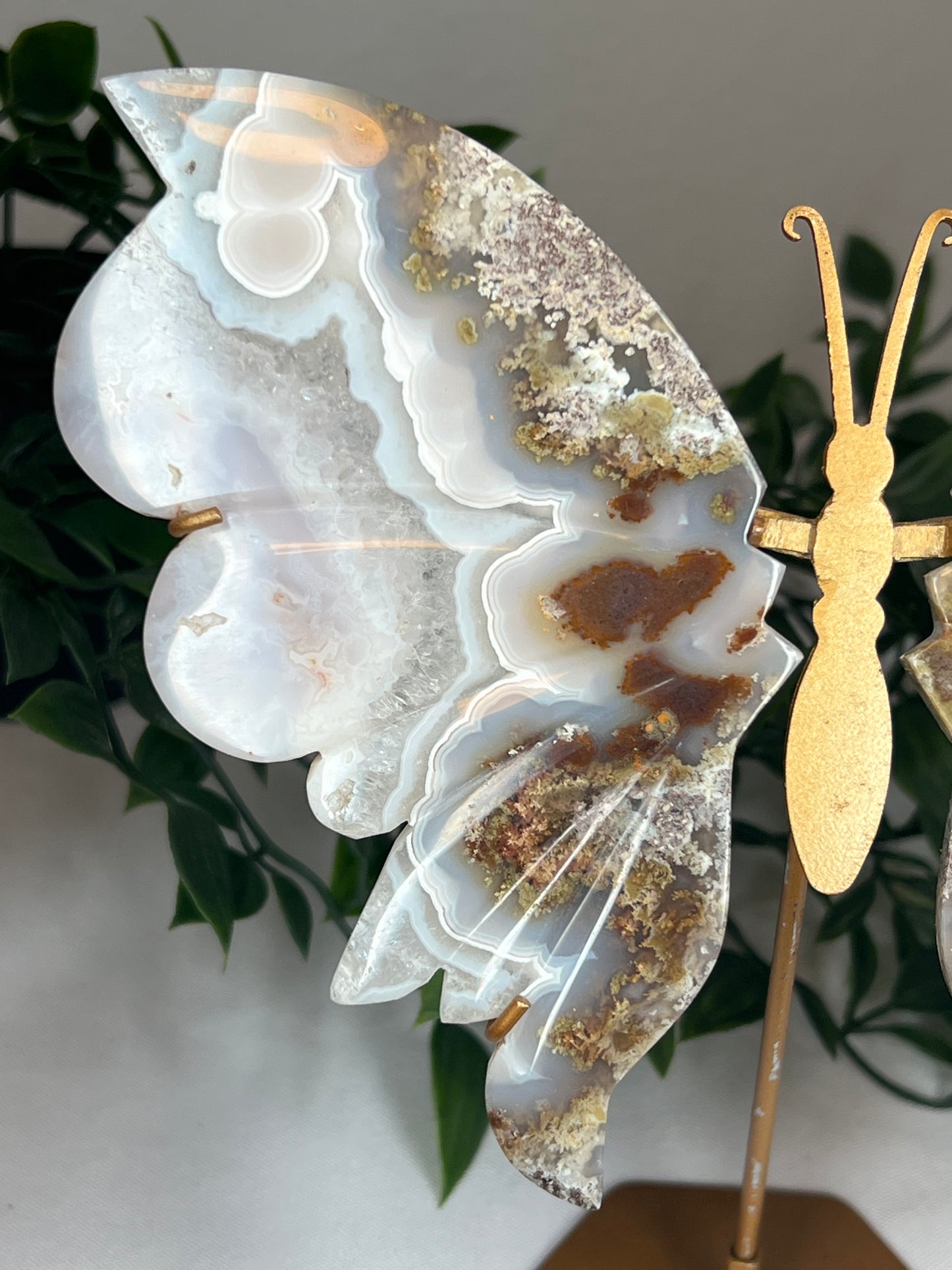 Scenic Moss Agate Wings