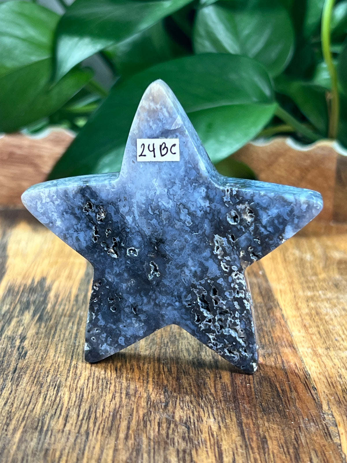 Blue Plume Agate Star: BC