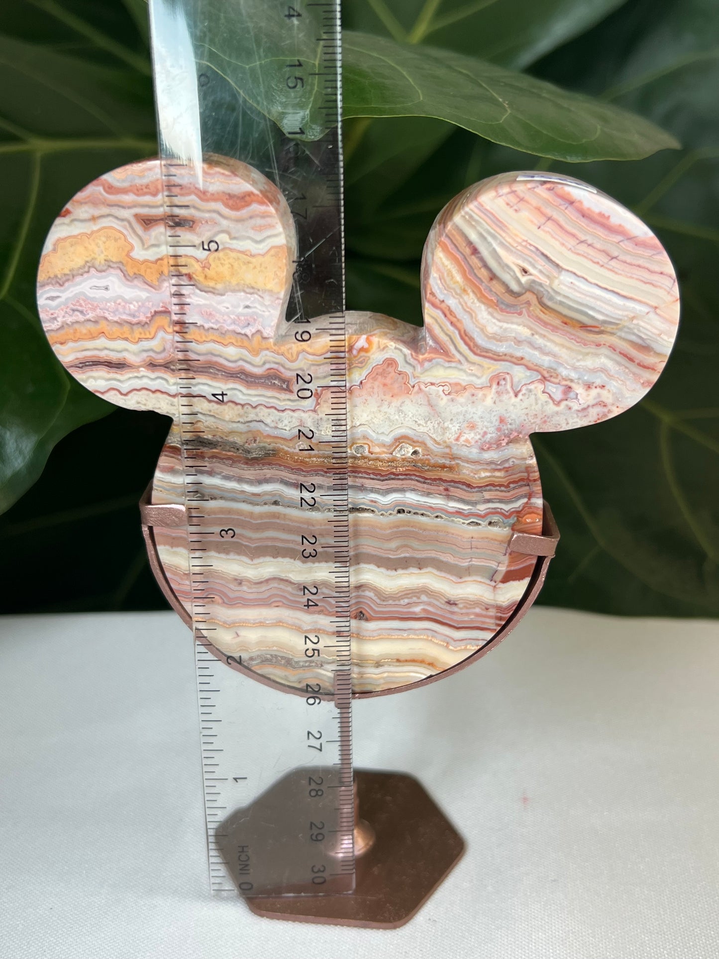 Crazy Lace Agate Bear Head
