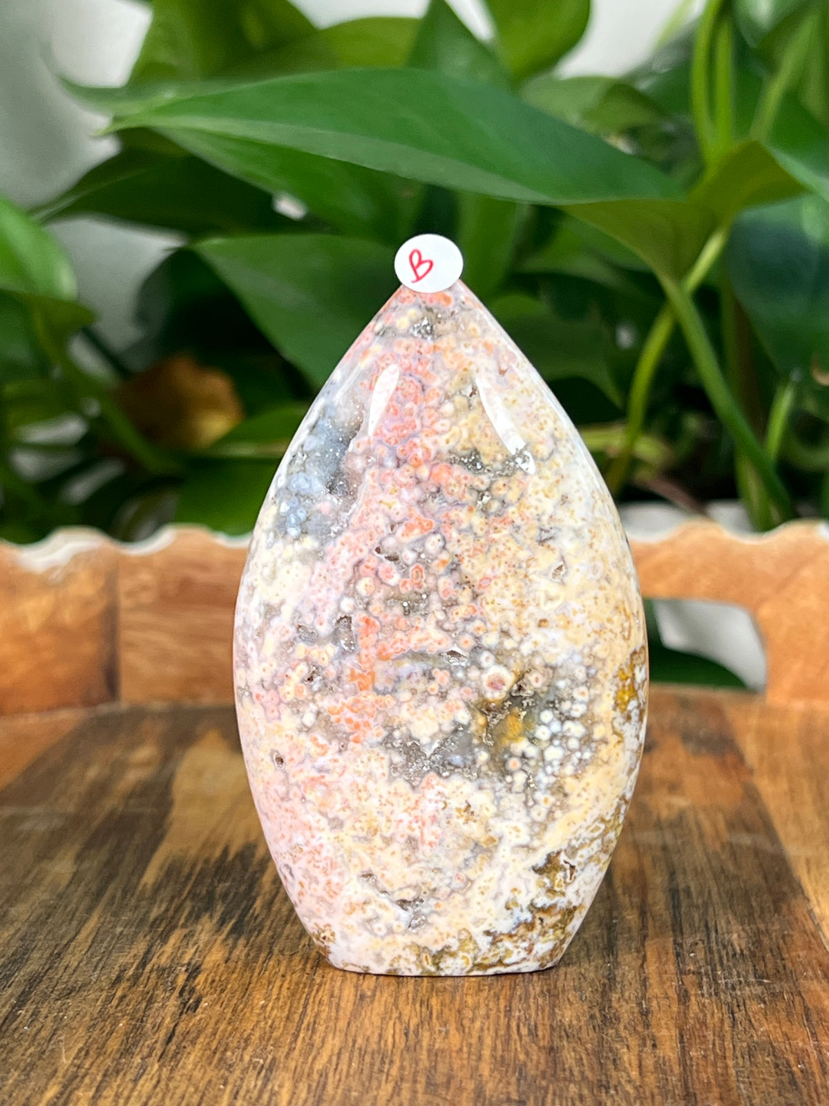 Sea Jasper Flames