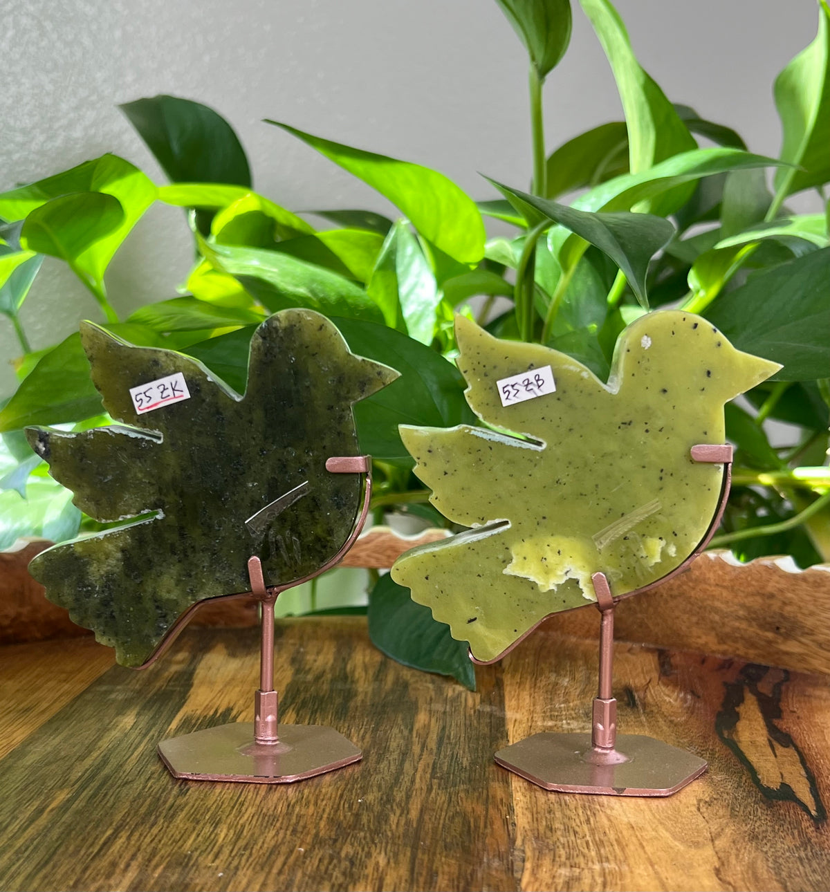 Idocrase Birds