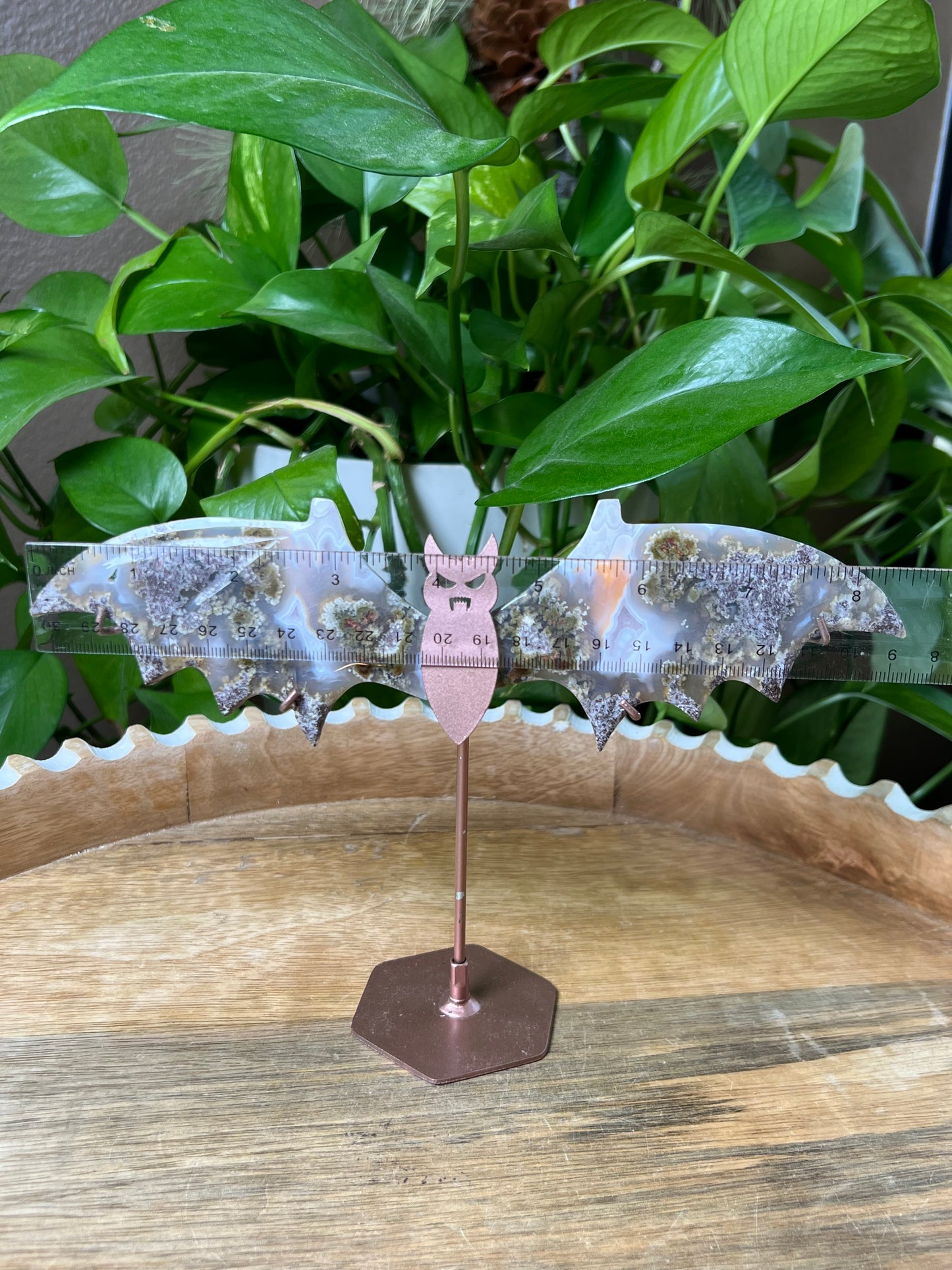 Scenic Moss Agate Bat Wings