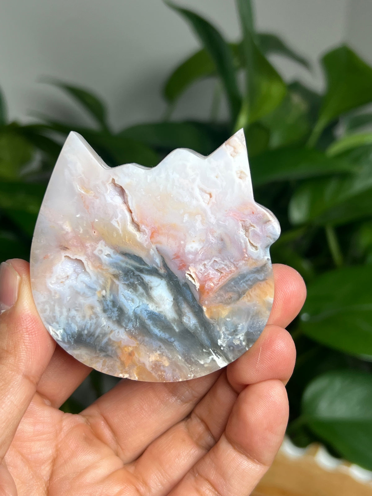 Rainbow Plume Agate Cat: FB