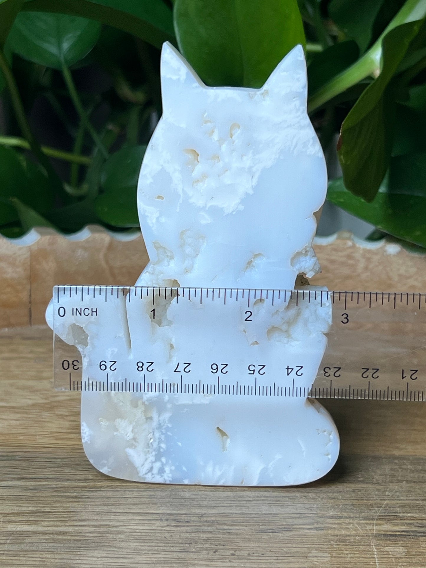 White Plume Agate Cat