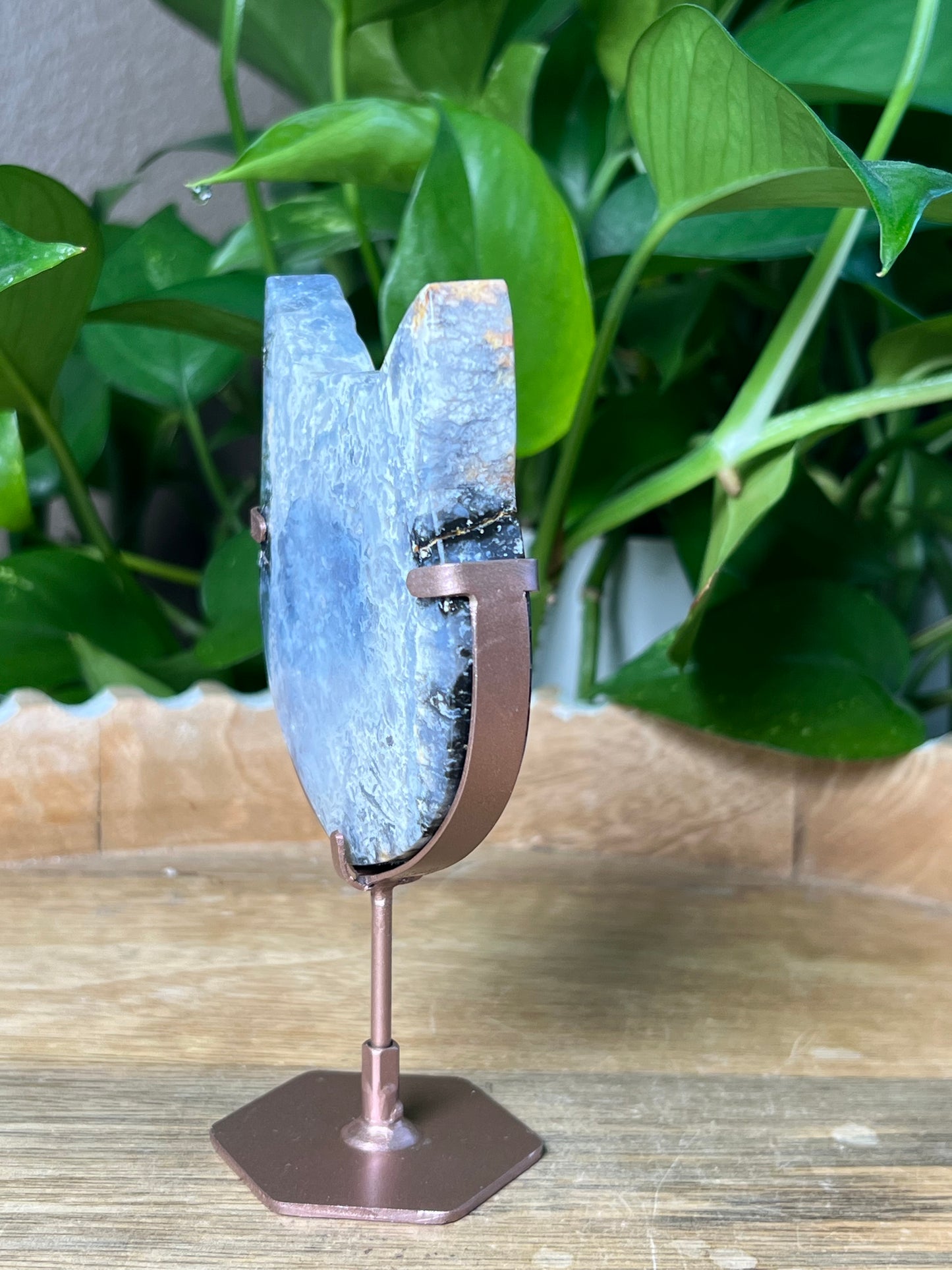 Blue Plume Agate Cat