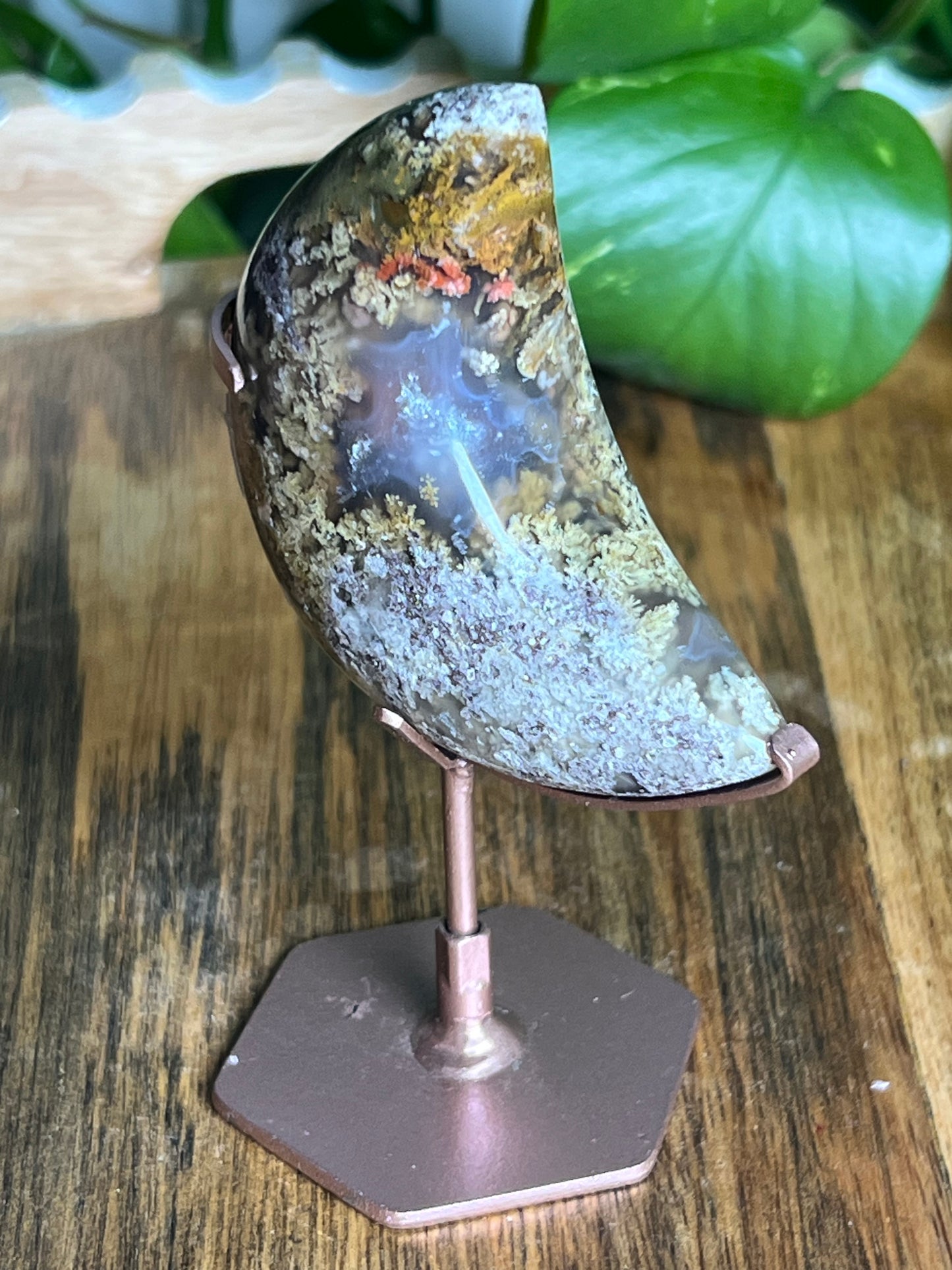 Scenic Moss Agate Moon