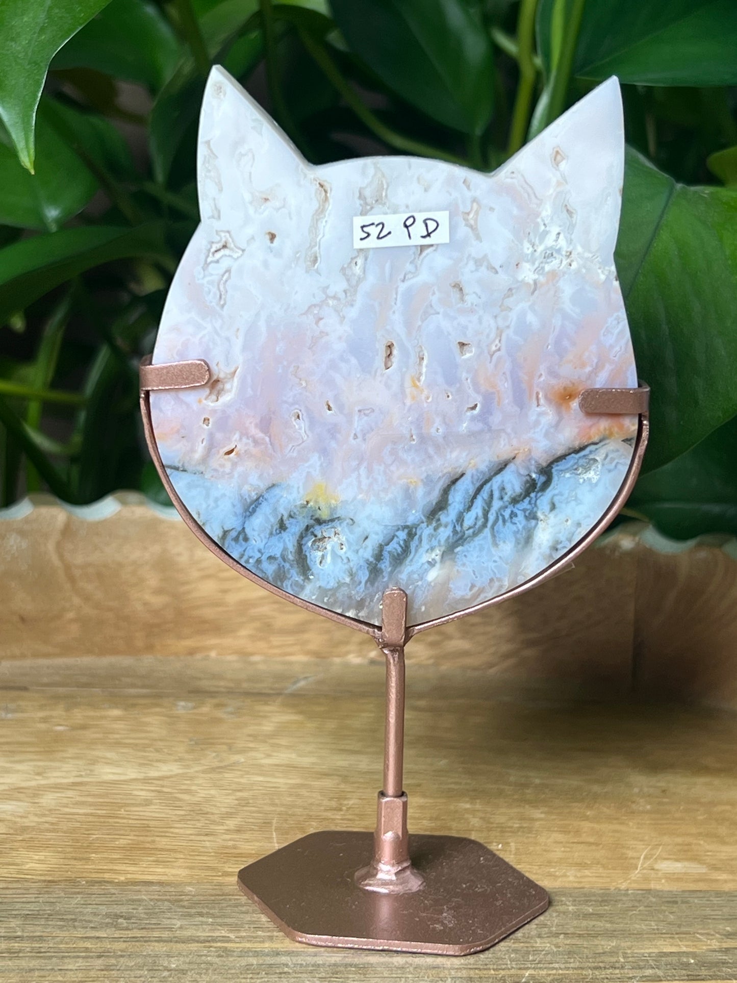 Rainbow Plume Agate Cat Head