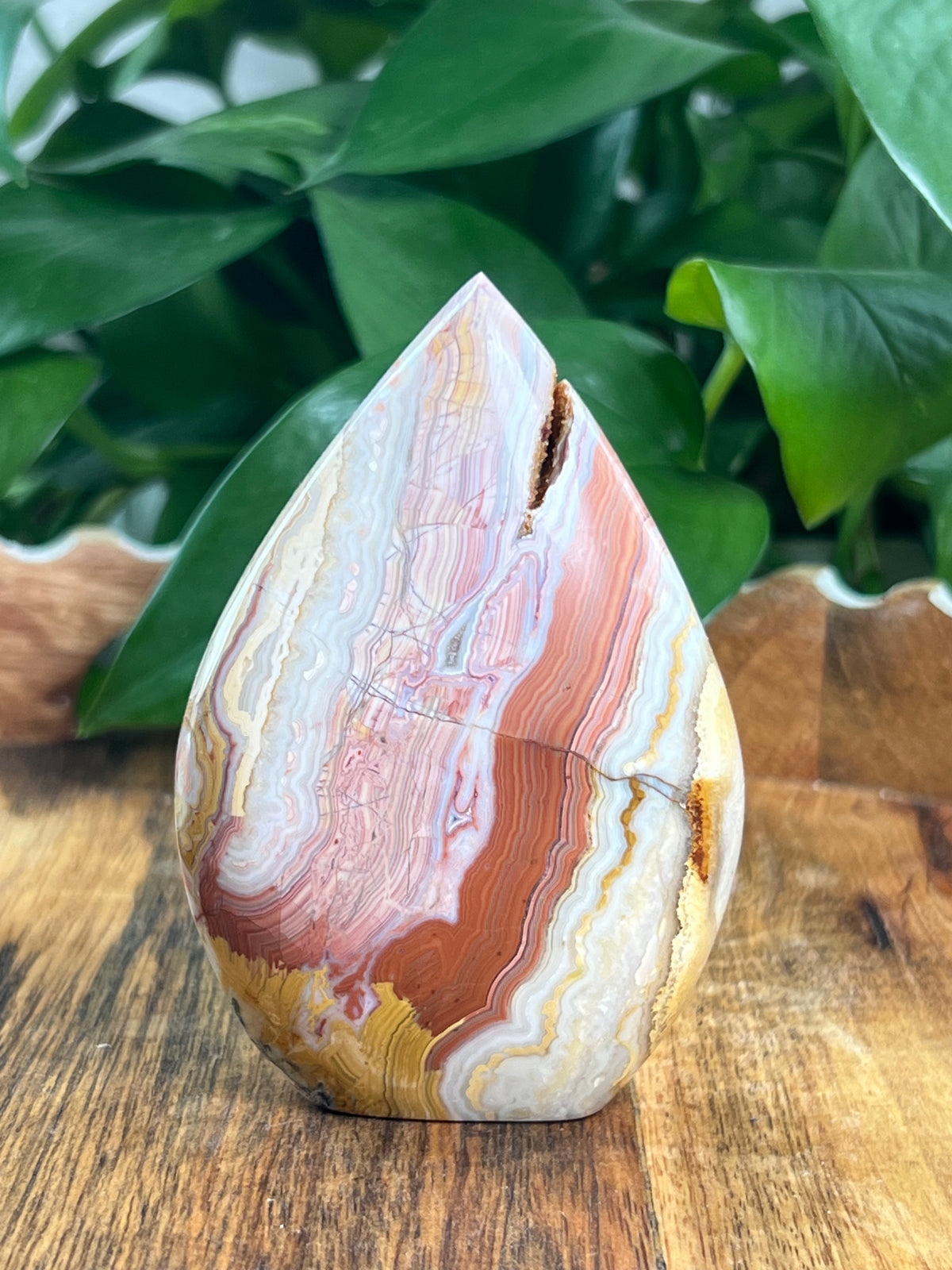 Crazy Lace Agate Flame: EB