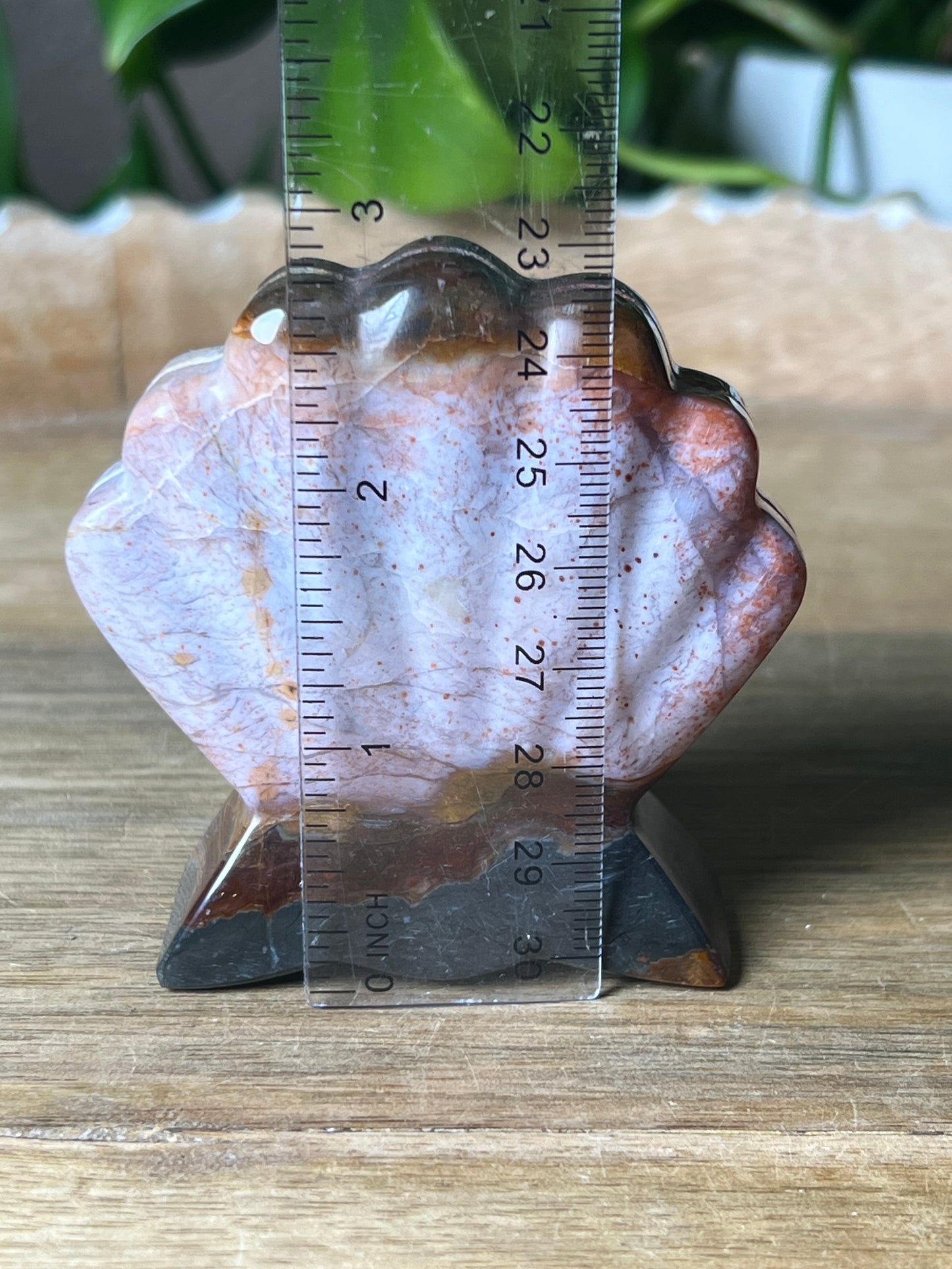 River Jasper Shell