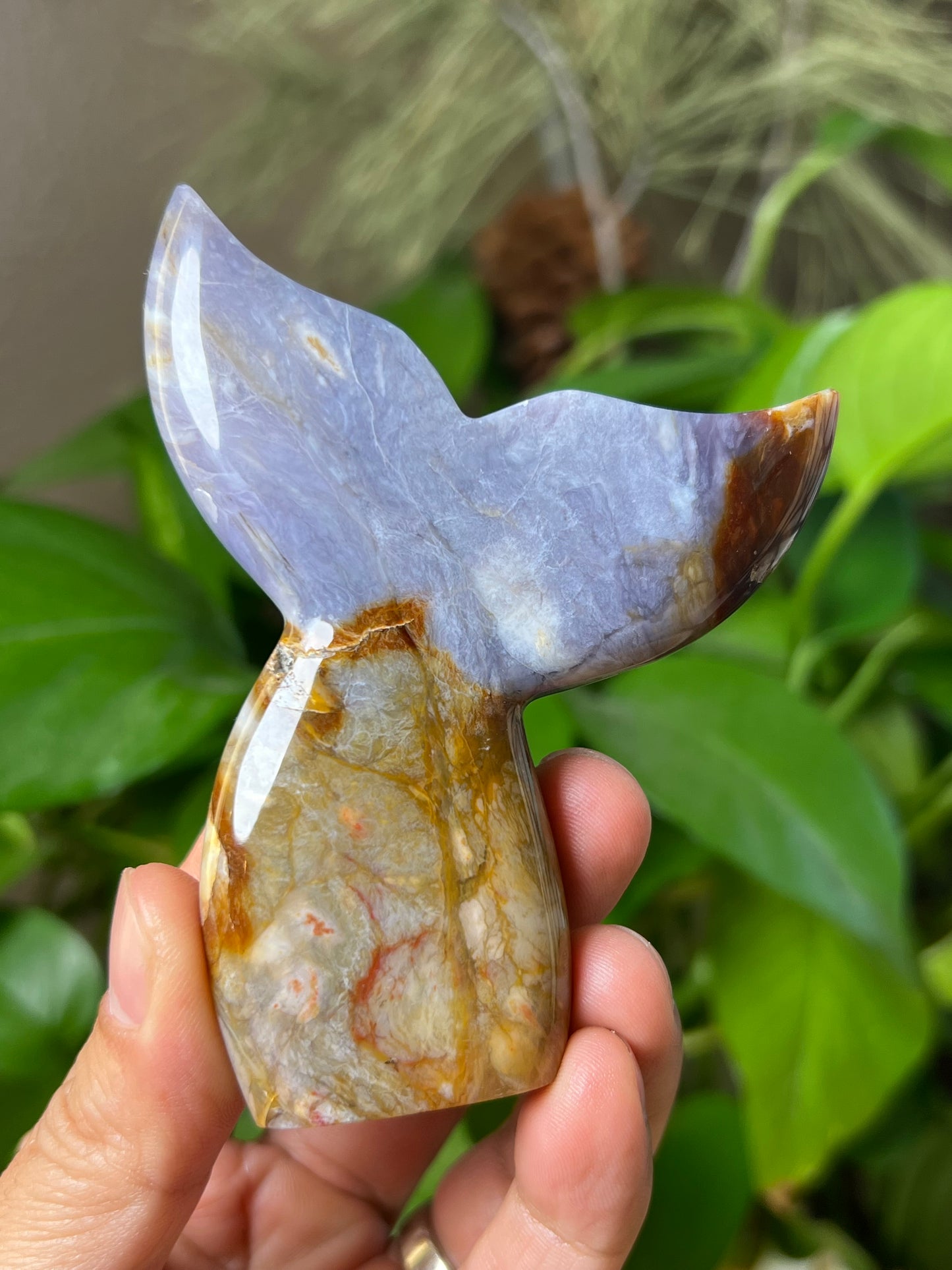 Purple Chalcedony Tail