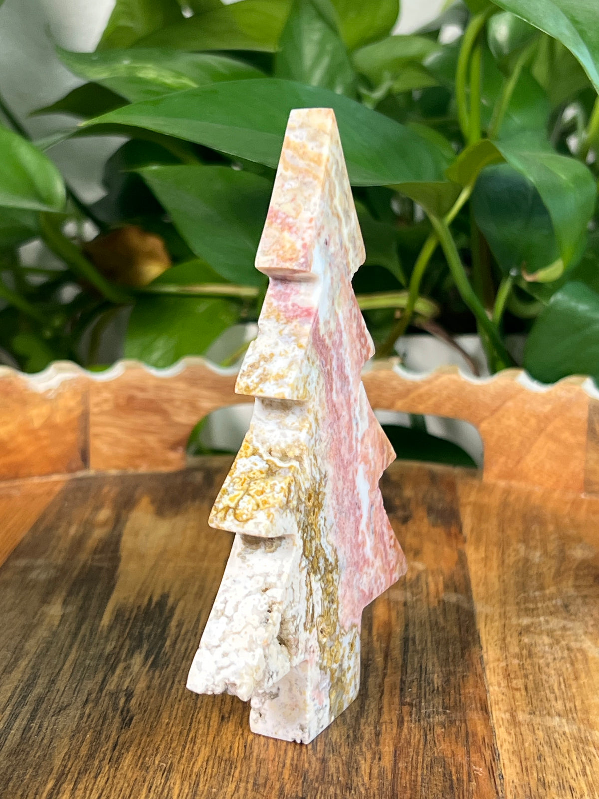 Sea Jasper Tree: AC