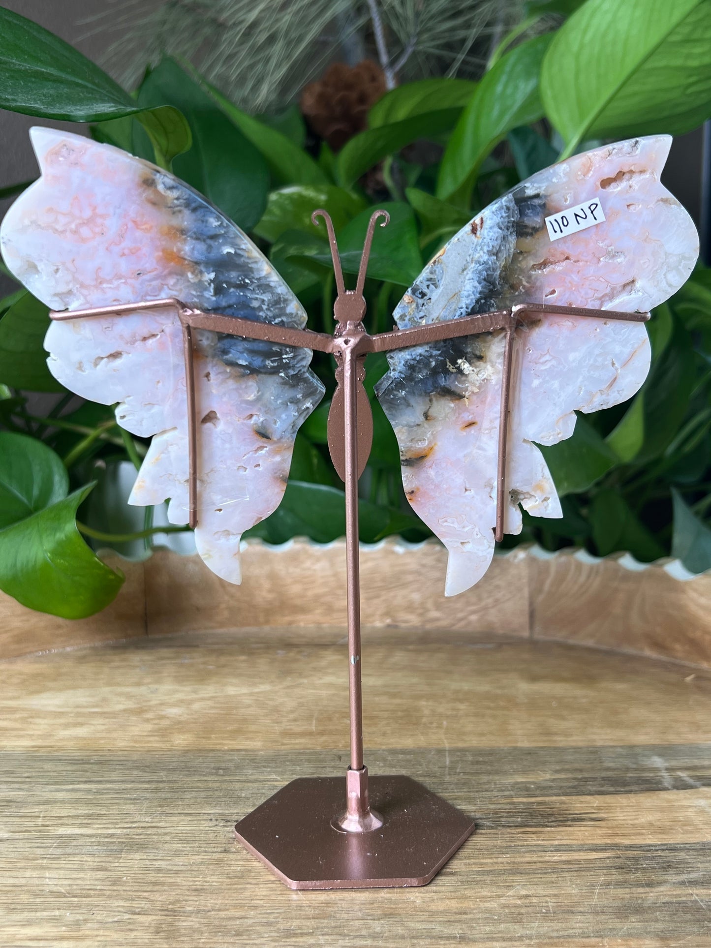 Rainbow Plume Agate Wings