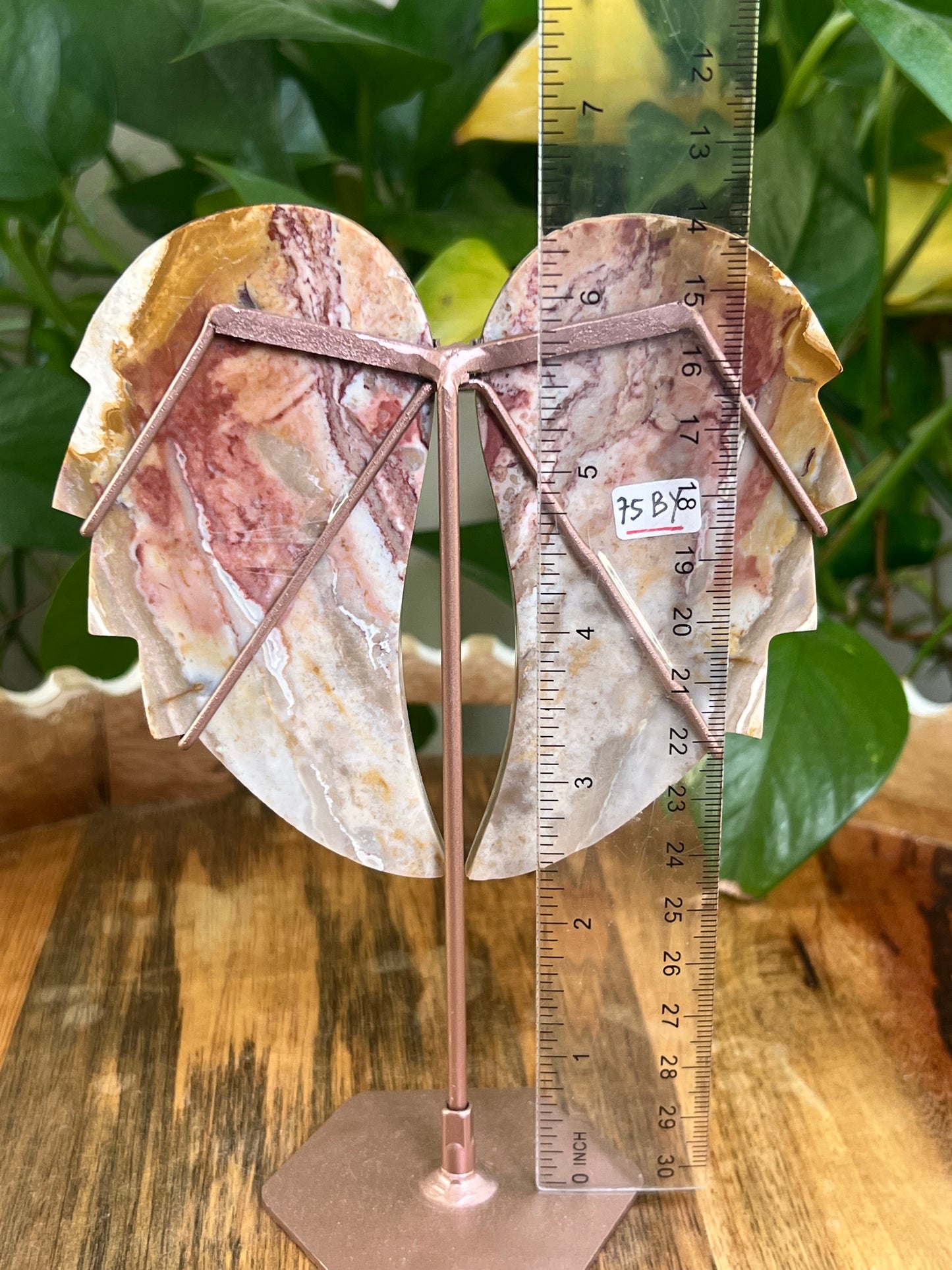 River Jasper Wings BY