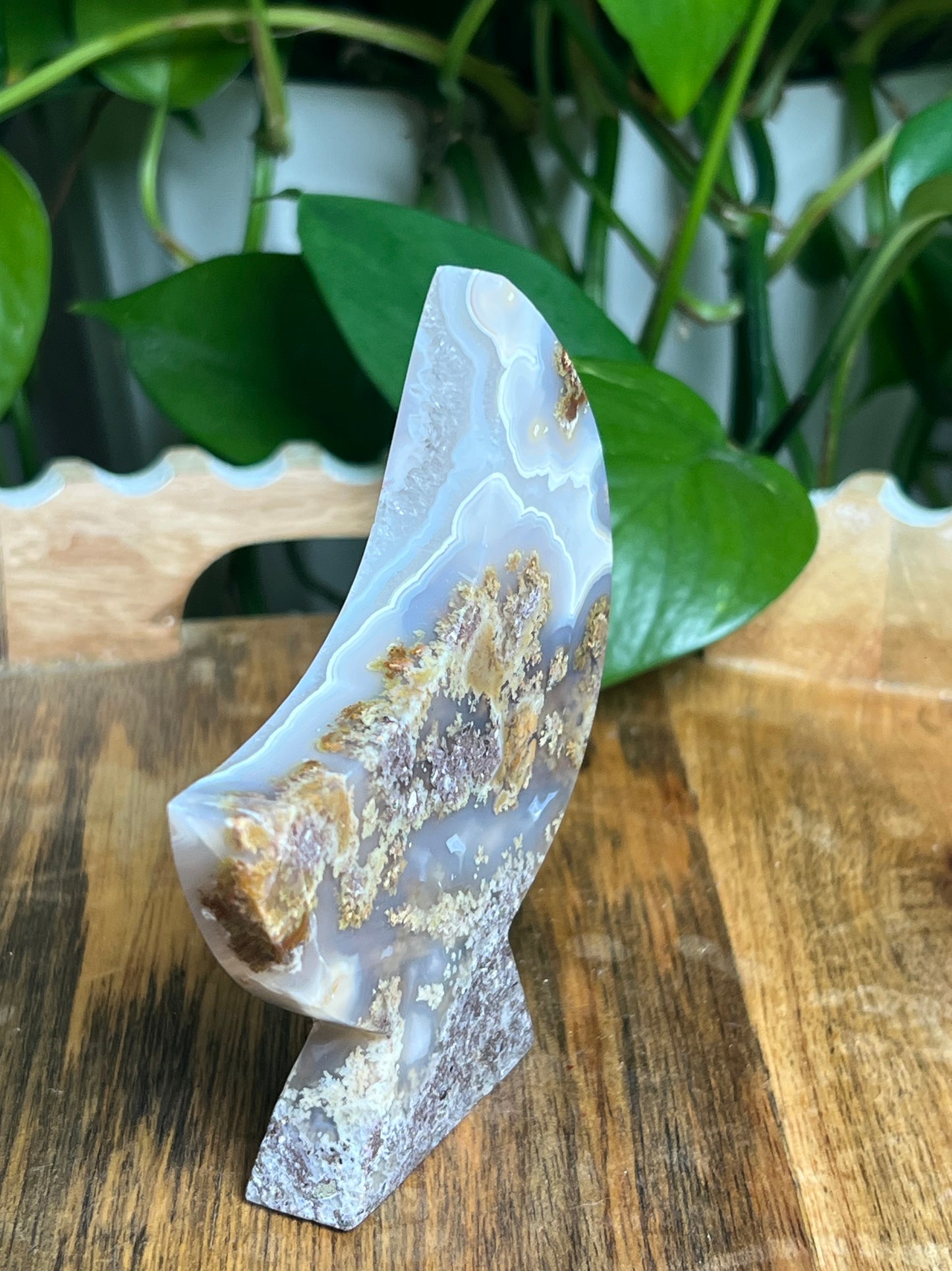 Scenic Moss Agate Self-Standing Moon: LF