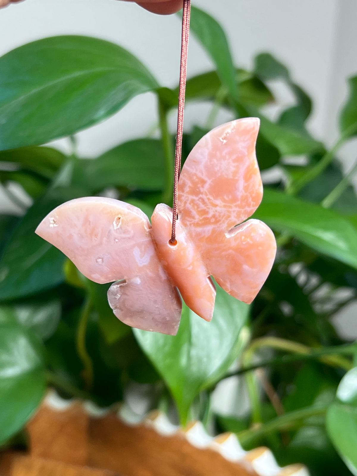 Carnelian Ornament Butterfly: RK