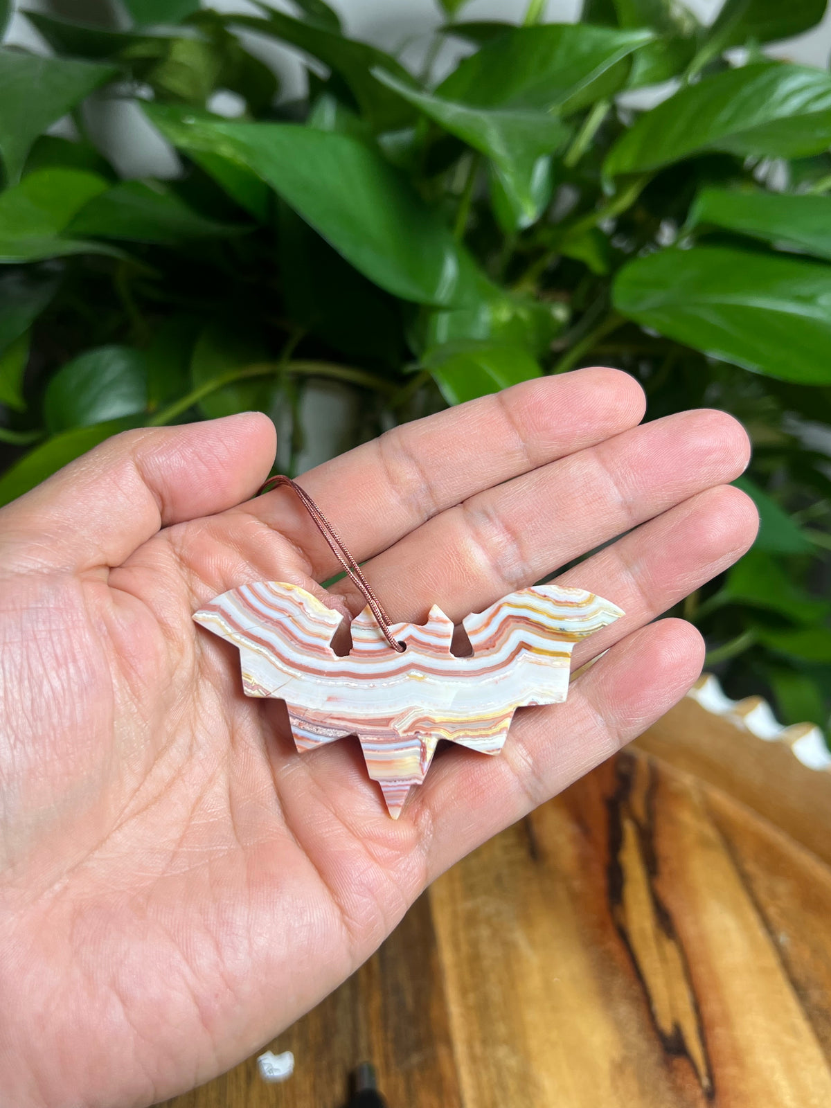 Crazy Lace Agate Ornament Bat: Y